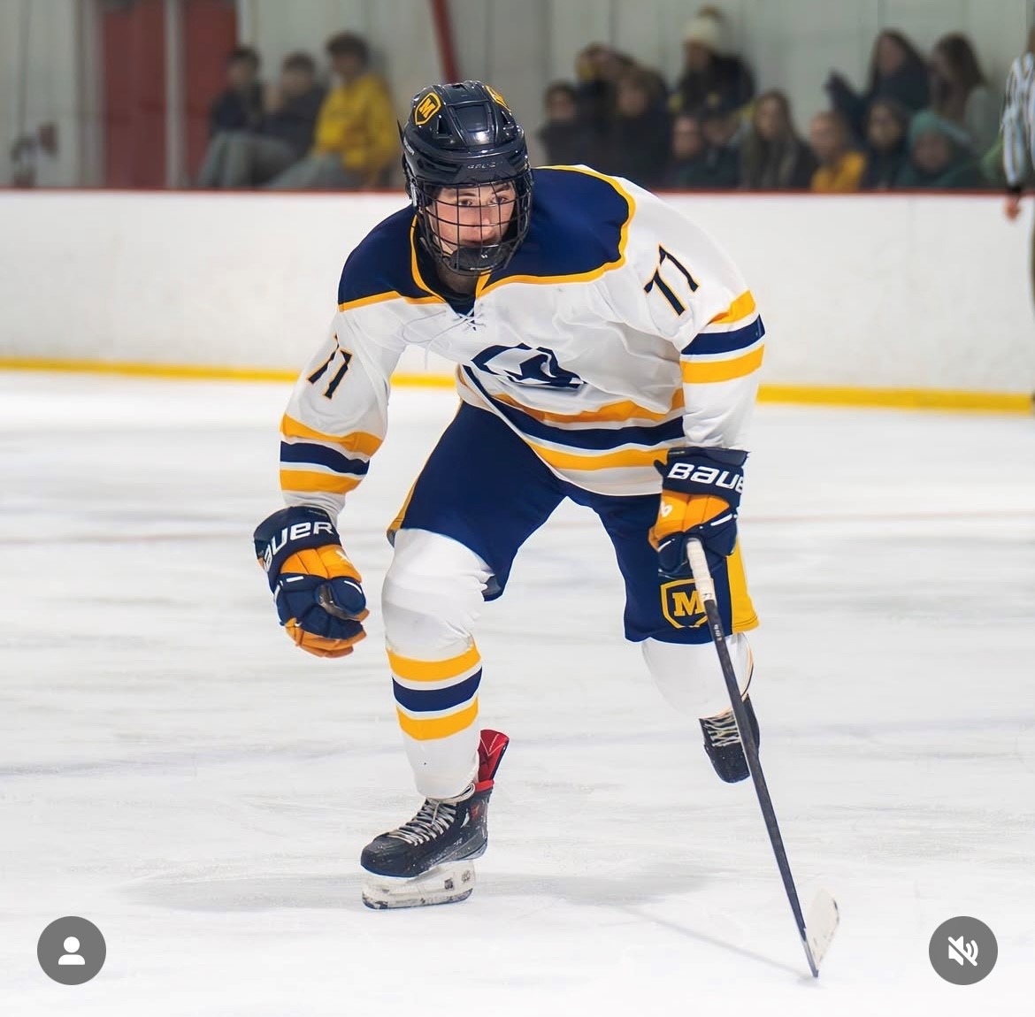 hockey weekend recap 11.17