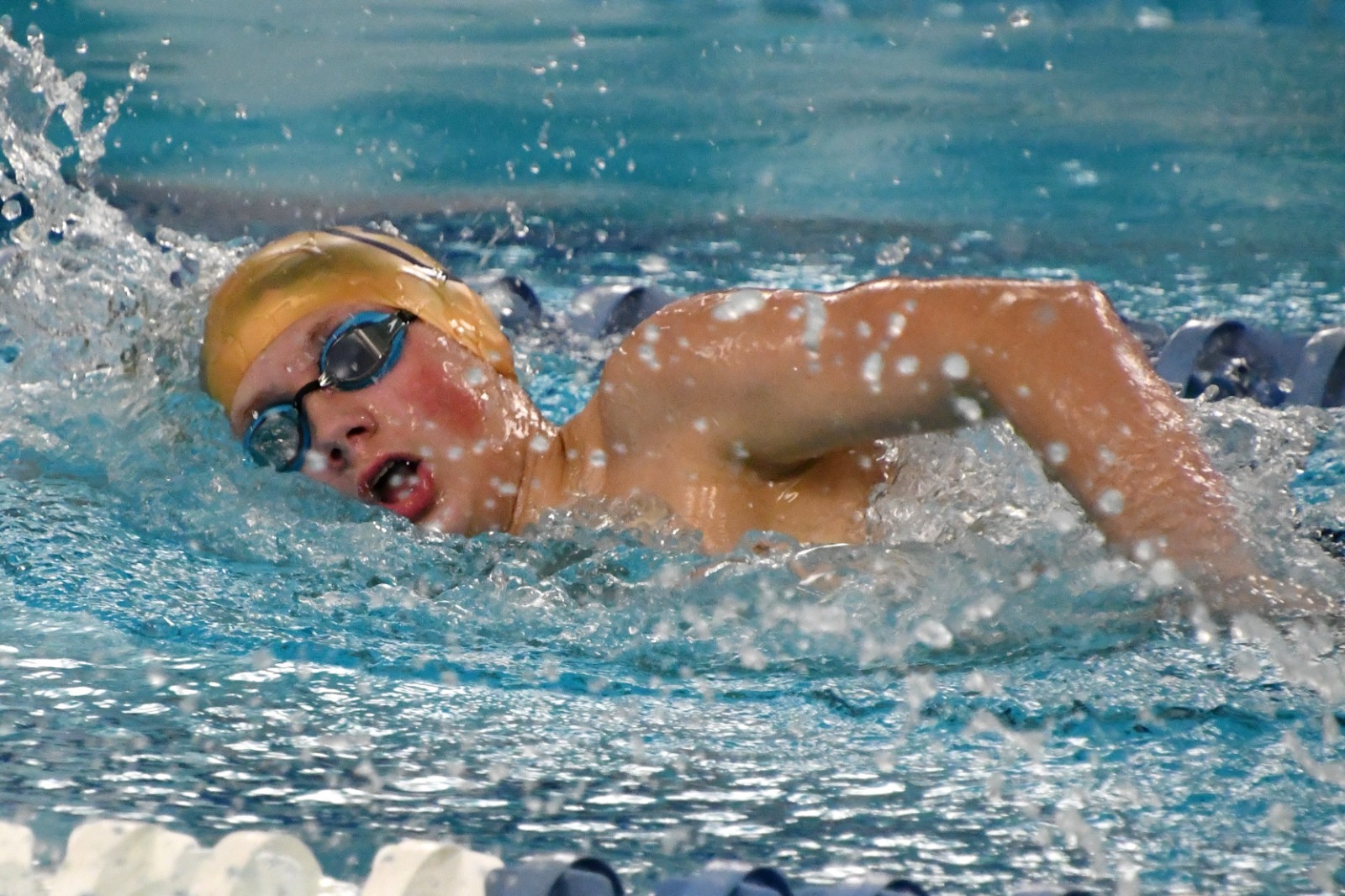 GCL Championships Swimming 
