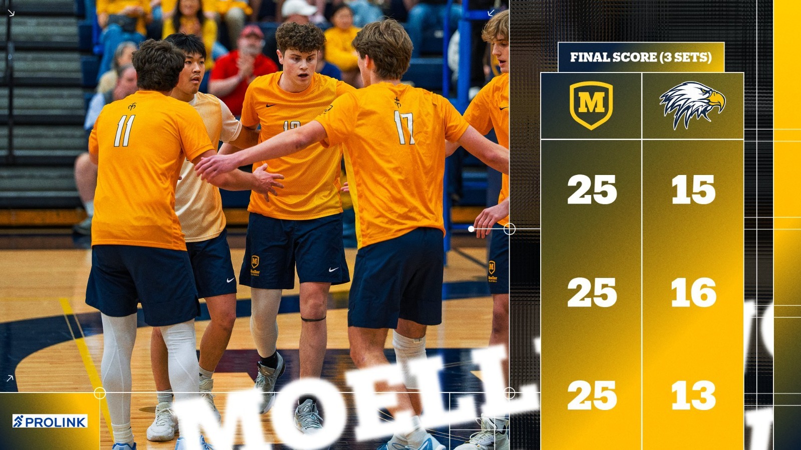 mvb final vs walnut 