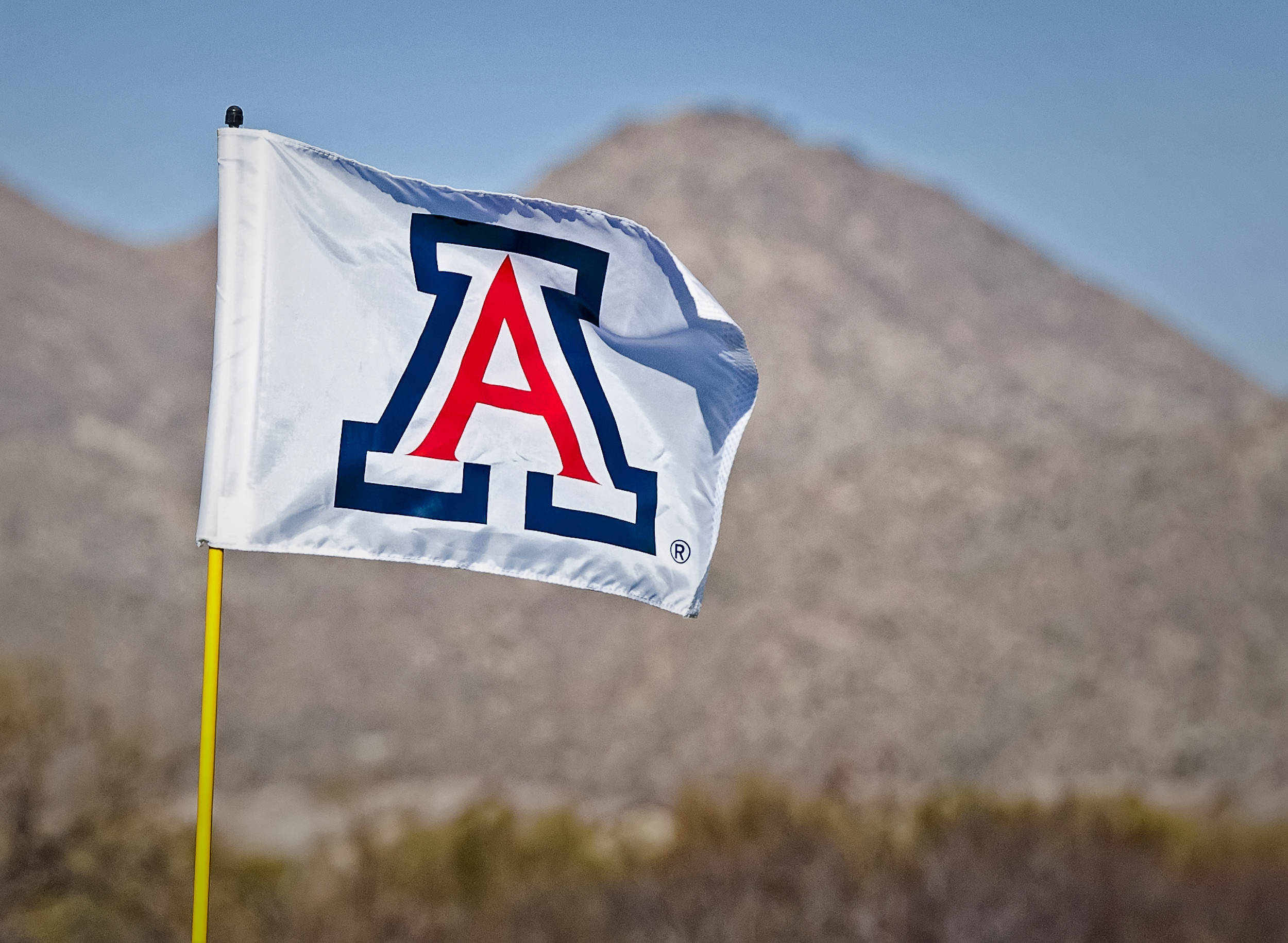 Arizona golf flag