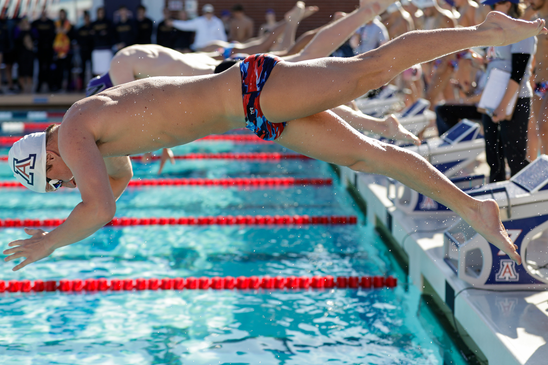 Arizona Wildcats swimming and diving vs. NAU and Northwestern 1/3/20 in Tucson, Ariz.Photo by Simon Asher / for Arizona Athletics