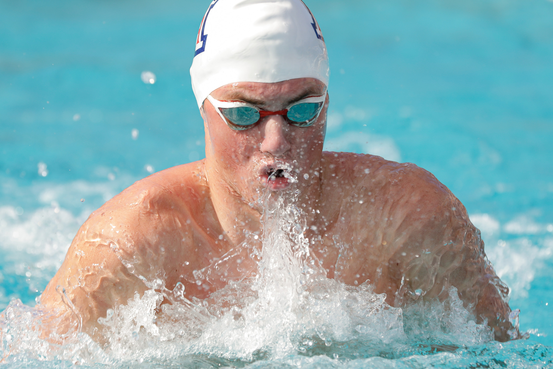 Arizona Wildcats swimming and diving vs. NAU and Northwestern 1/3/20 in Tucson, Ariz.Photo by Simon Asher / for Arizona Athletics