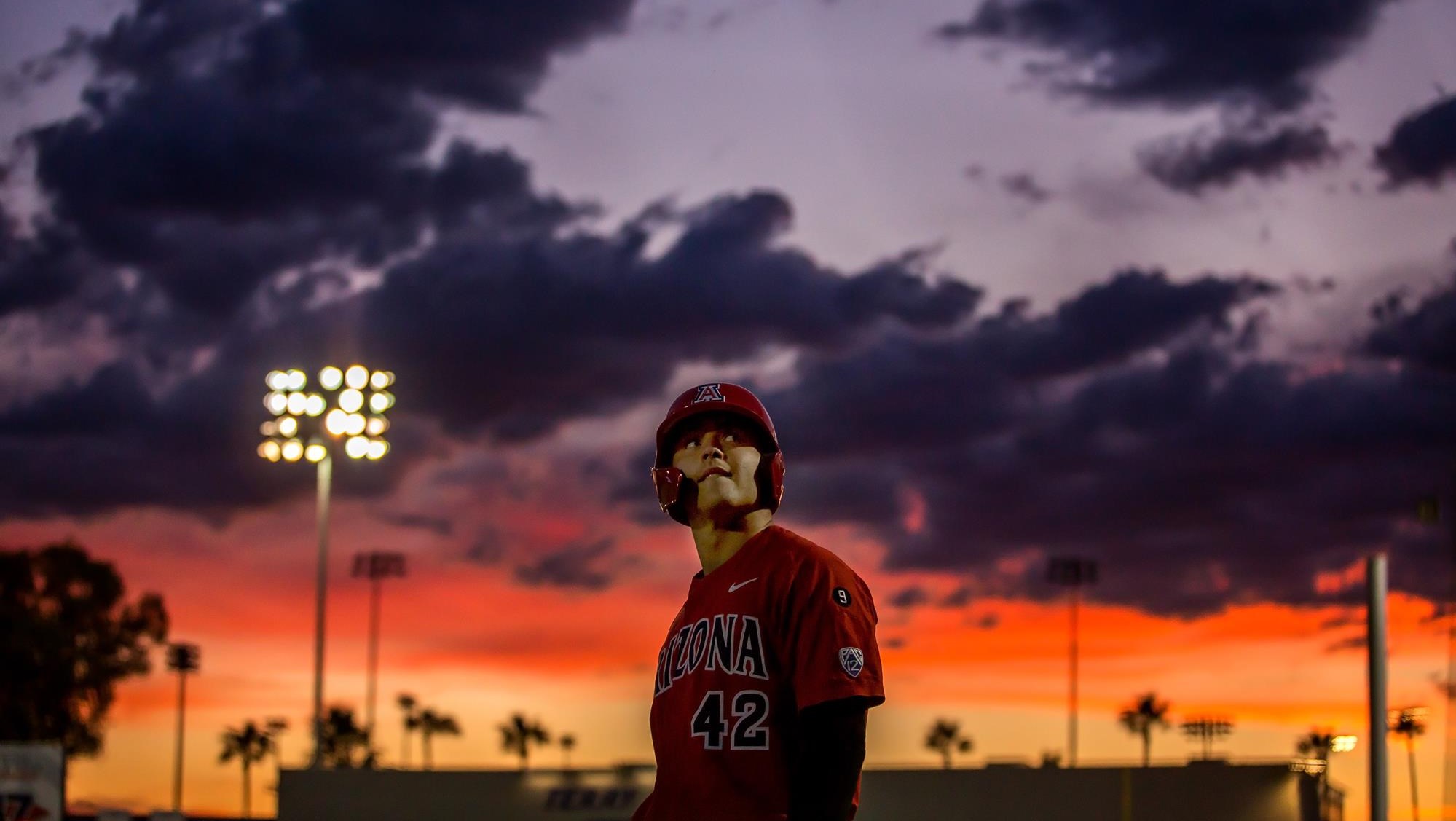 Ryan Holgate Baseball University of Arizona Athletics