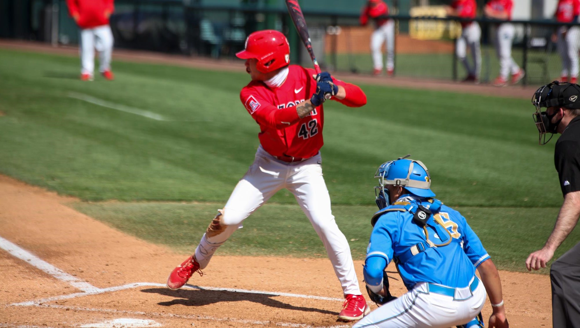 Ryan Holgate Baseball University of Arizona Athletics