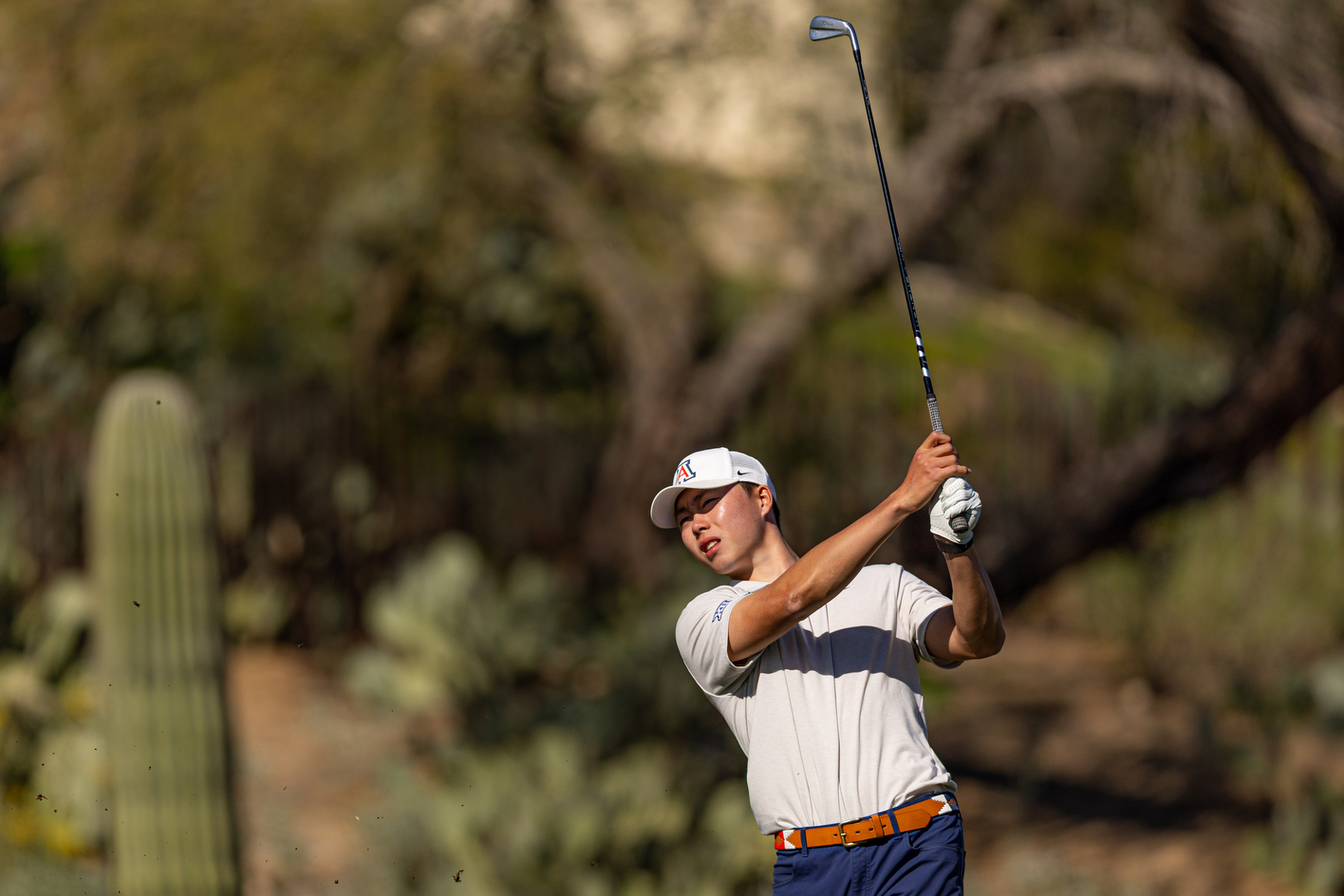 Tianyi Xiong — TUCSON, ARIZ. -- Men’s Golf competes in Day 2 of the 2026 National Invitational Tournament at Omni Tucson National Resort.Jan. 27, 2026. Photo by Marison Bilagody / Arizona Athletics