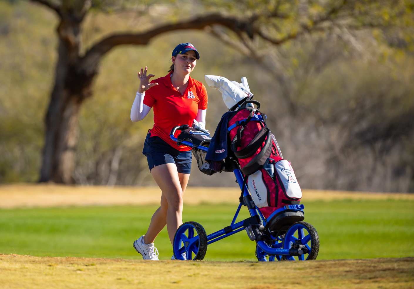 Charlotte Back — TUCSON, ARIZ. -- Women’s golf competes in the first day of the 2026 Thunderbird Intercollegiate at Tucson Country Club.Feb. 9, 2026. Photo by Mike Christy / Arizona Athletics