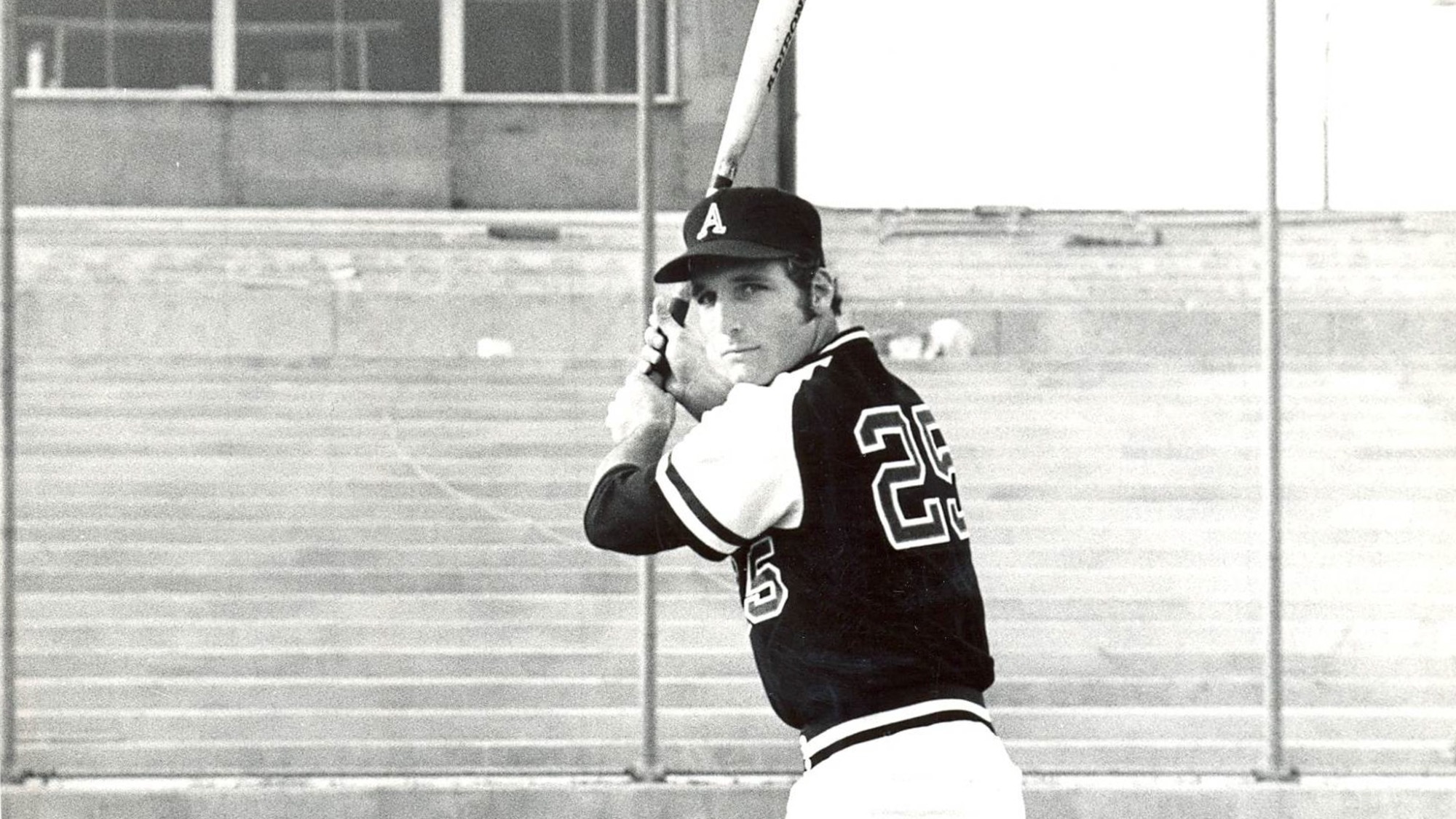 David Stegman