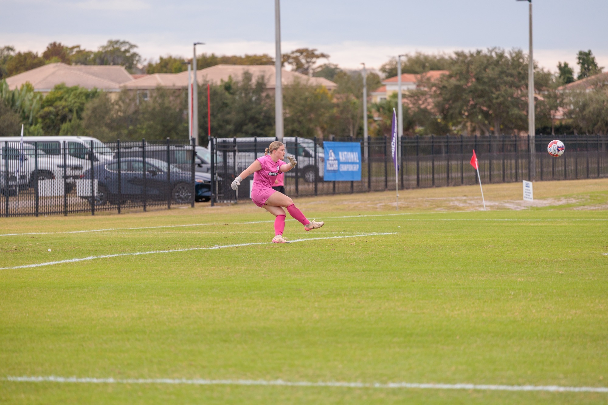 Peyton Steiniger 2025