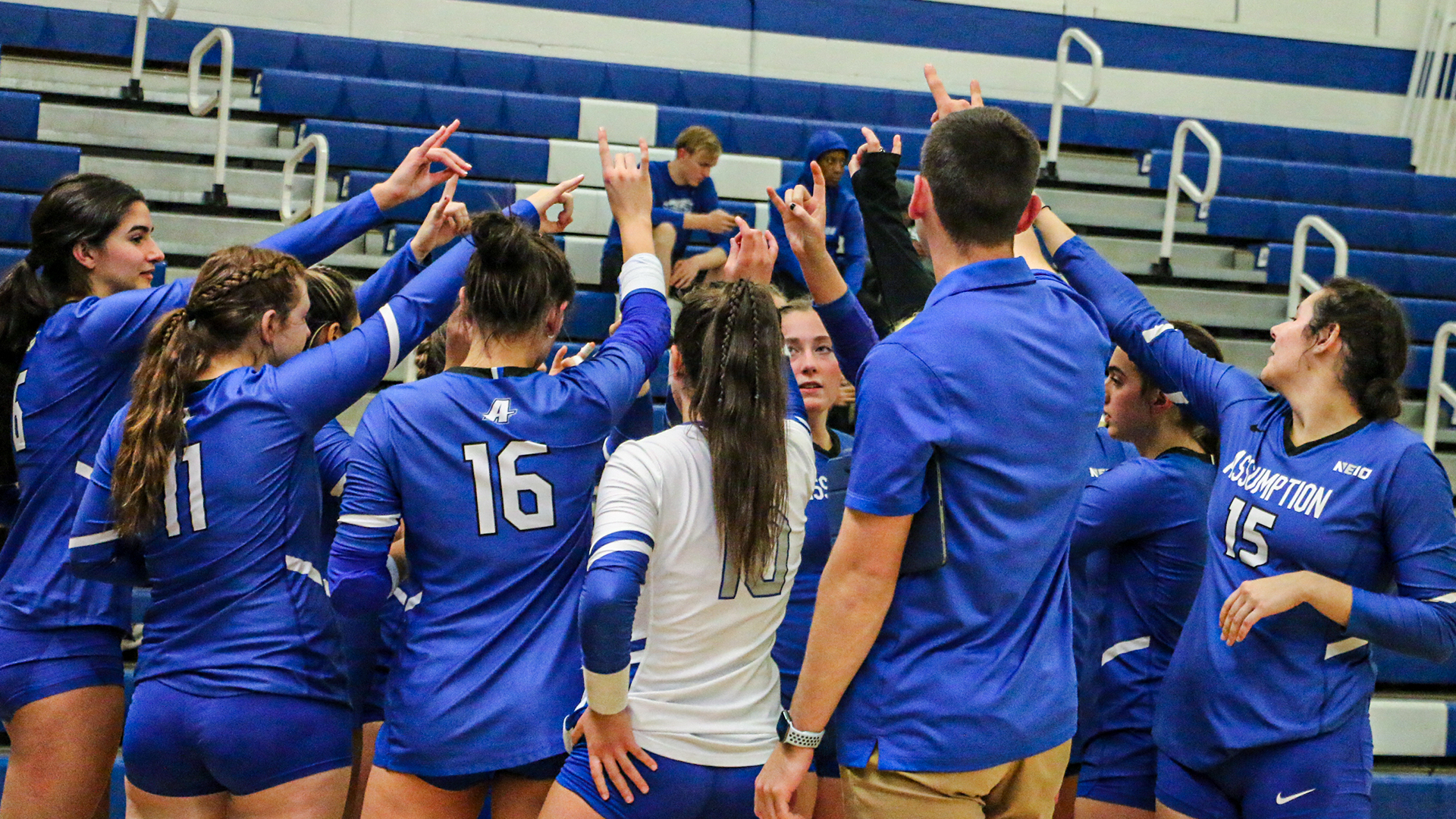 Volleyball Stumbles at Adelphi Assumption University