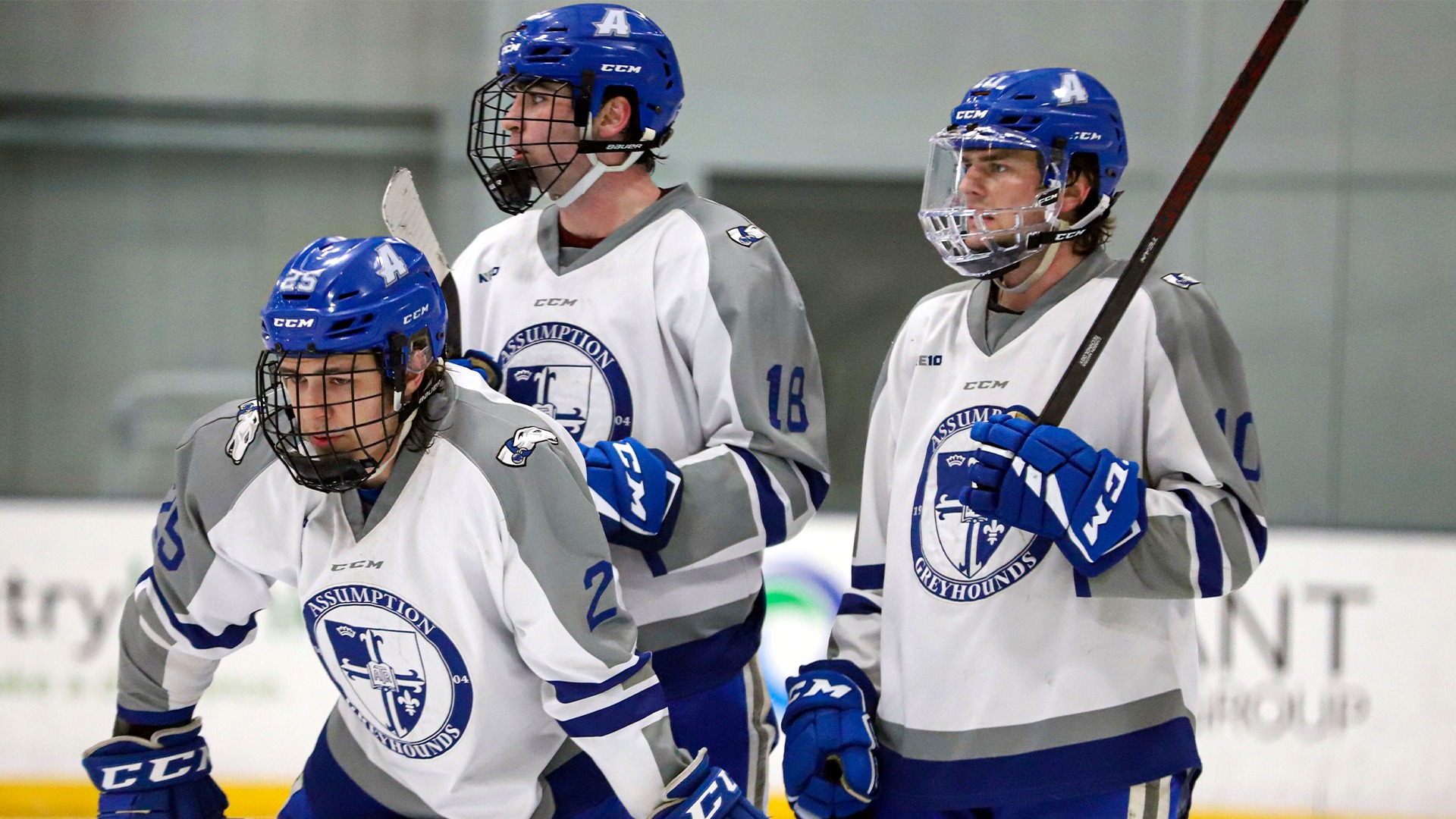 Seven Unanswered Goals Sinks Men's Ice Hockey Assumption University