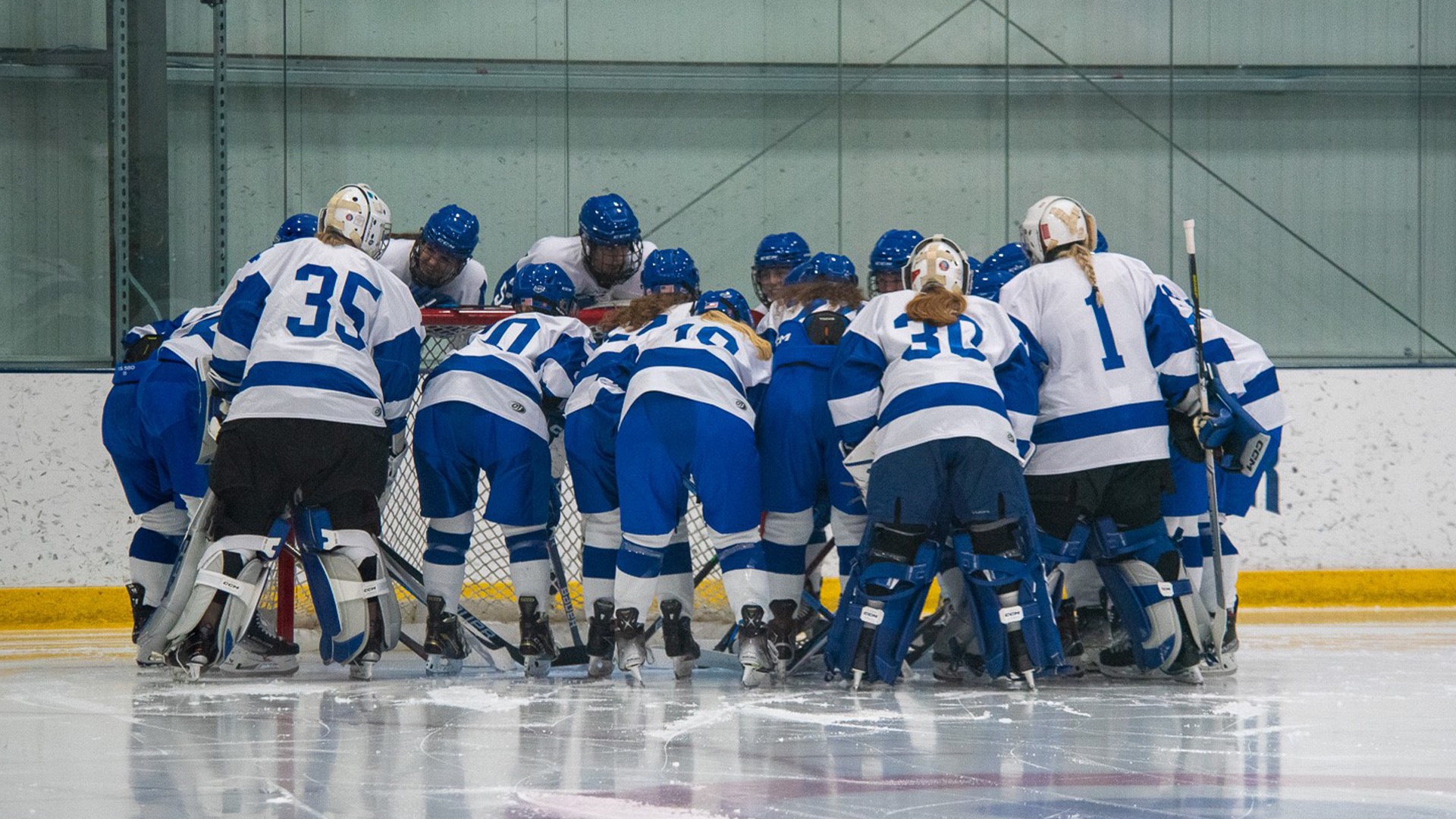 Women's Ice Hockey falls at Saint Anselm Assumption University