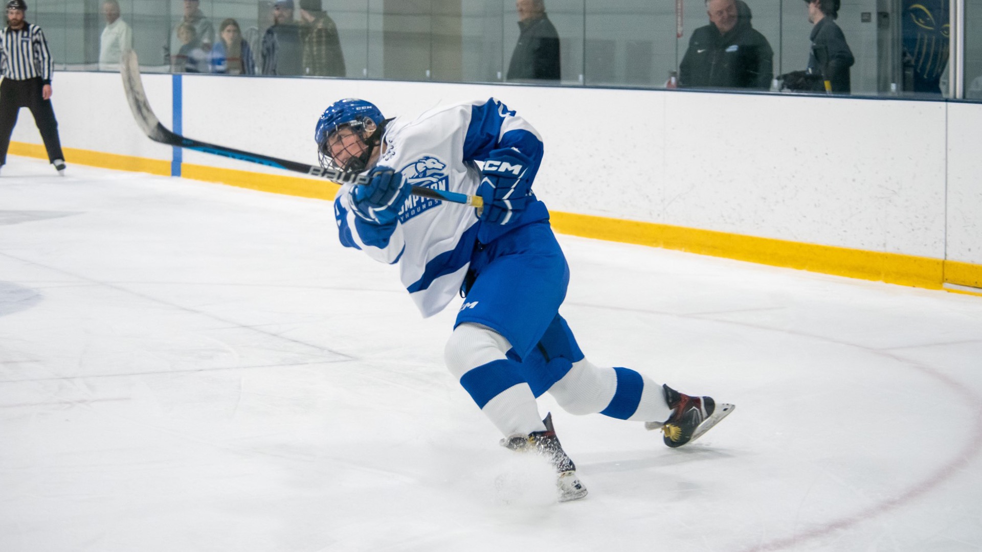 Women's Ice Hockey drops game at RPI Assumption University