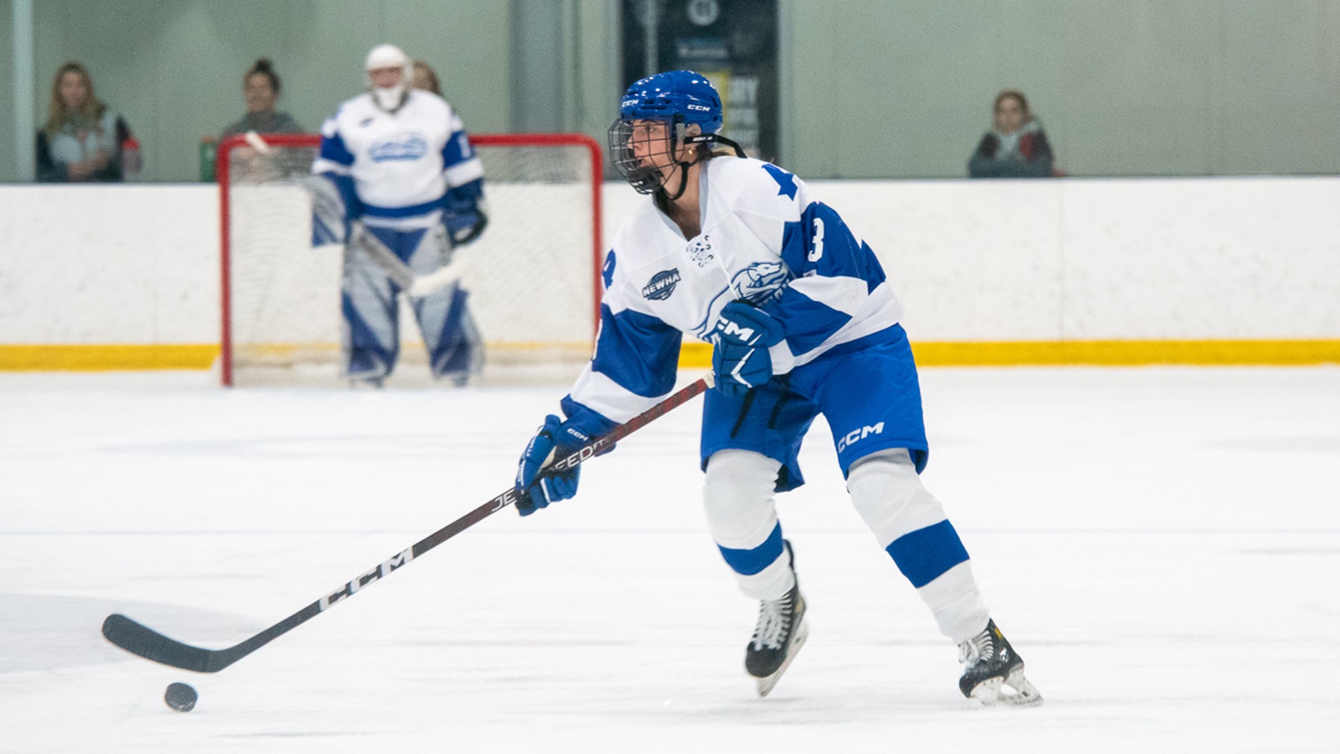 Women's Ice Hockey drops 10 decision at Sacred Heart Assumption