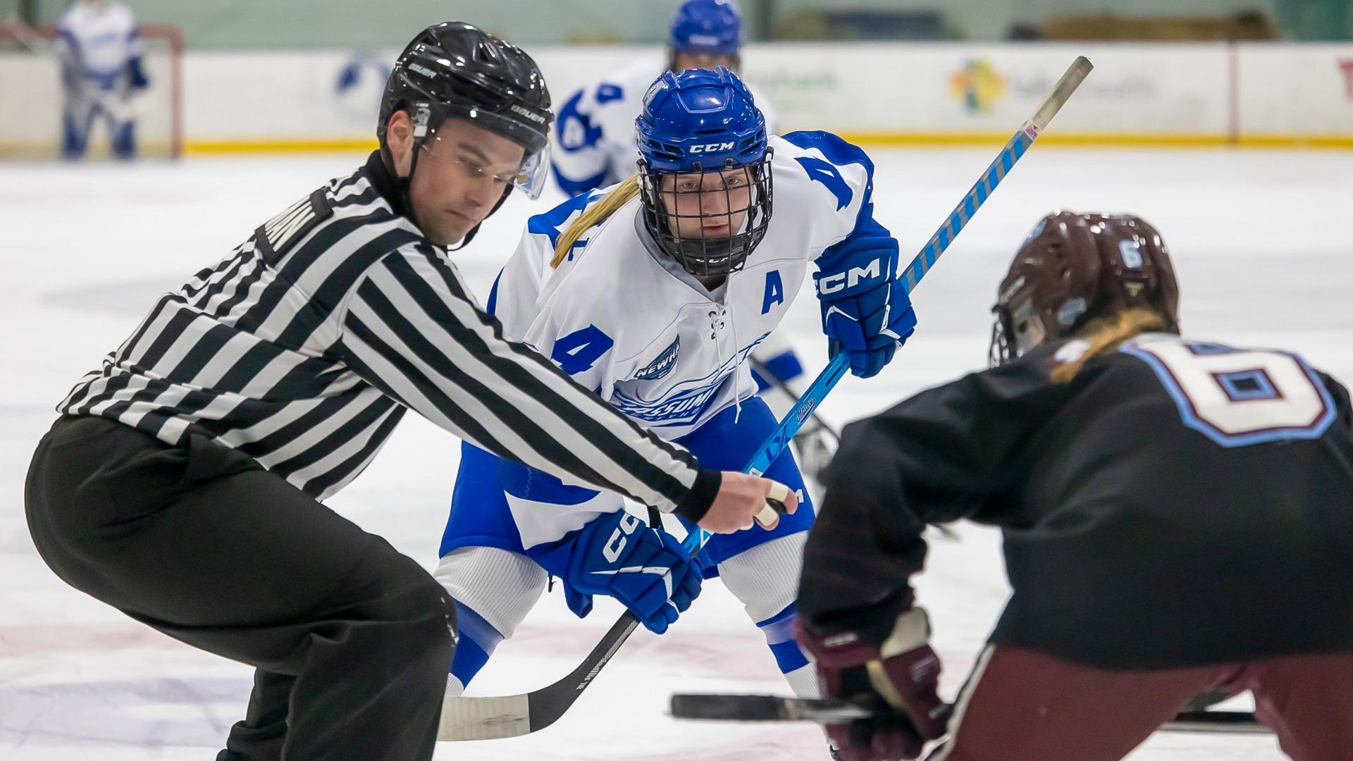 Women's Ice Hockey blanked by Franklin Pierce in regularseason finale