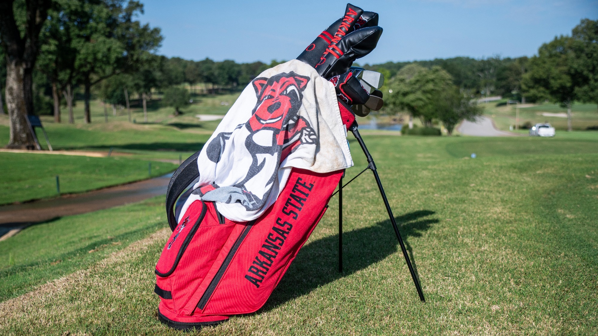 Golf Bag