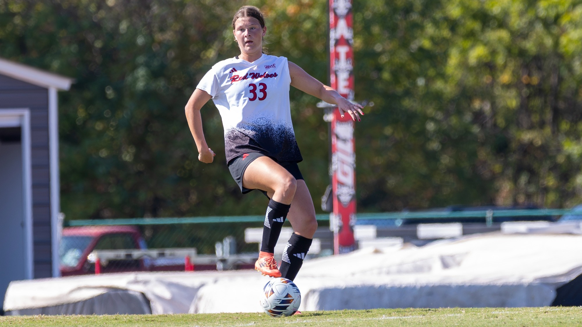 Halle Reiter