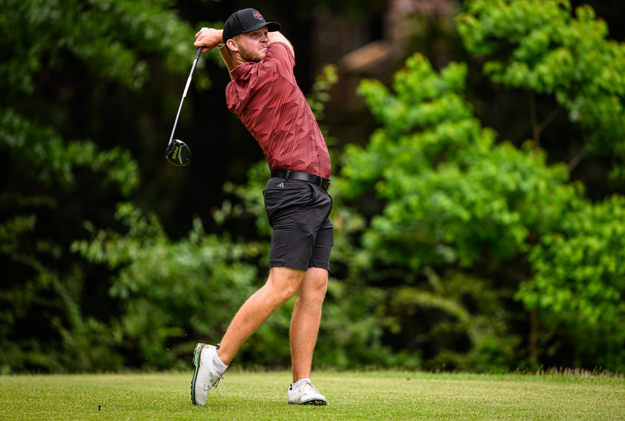 Schmidt in final round of 2026 SBC Championships
