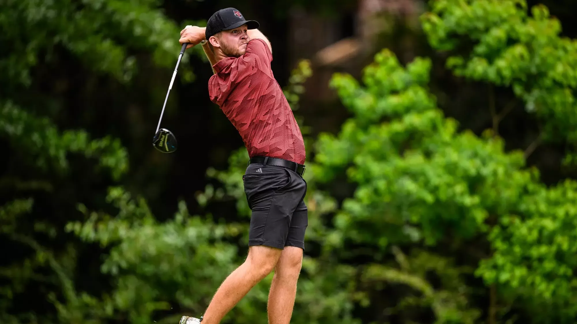 Schmidt in final round of 2026 SBC Championships