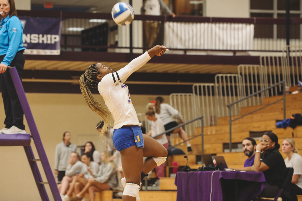 wvb