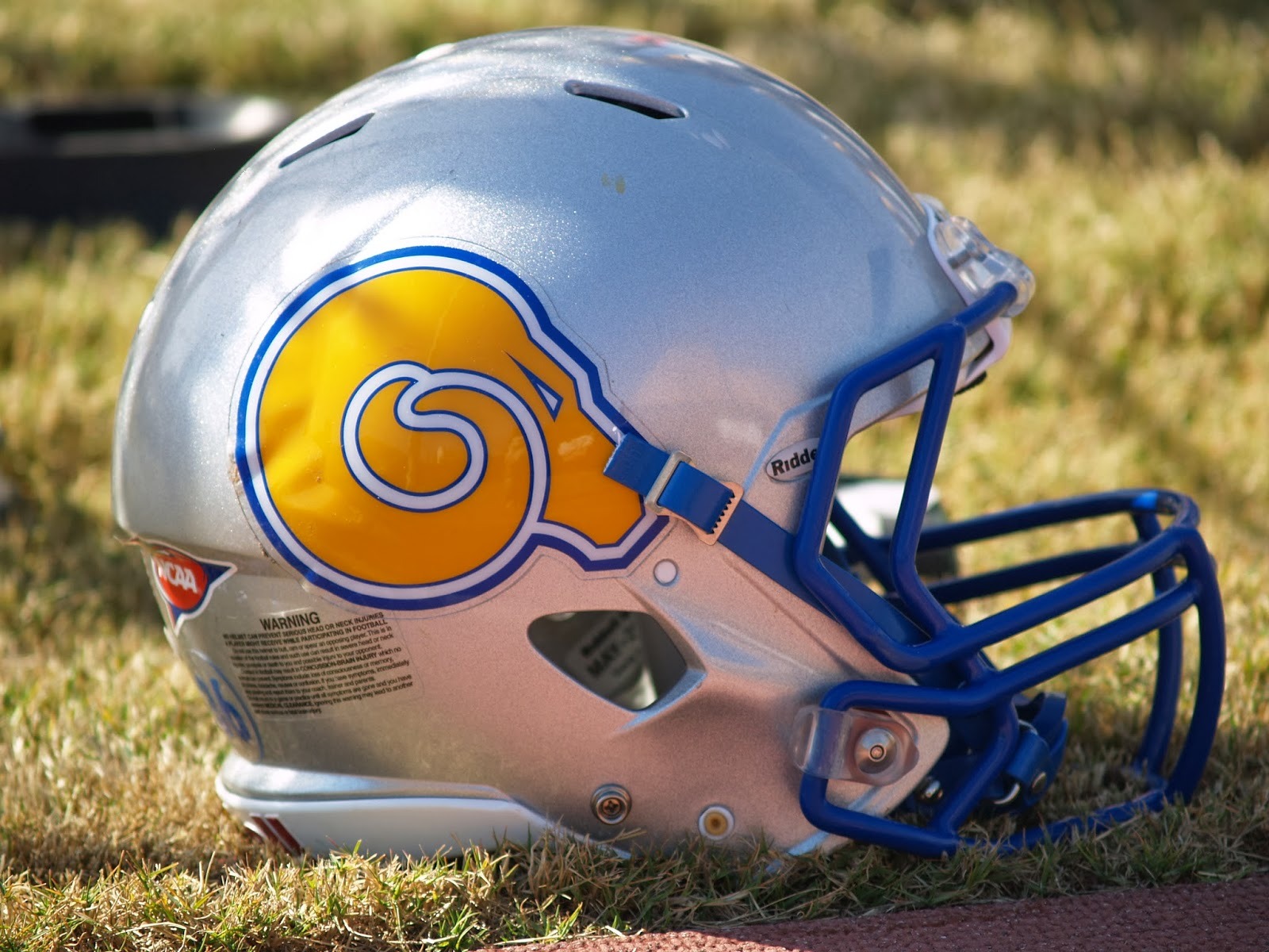 helmet