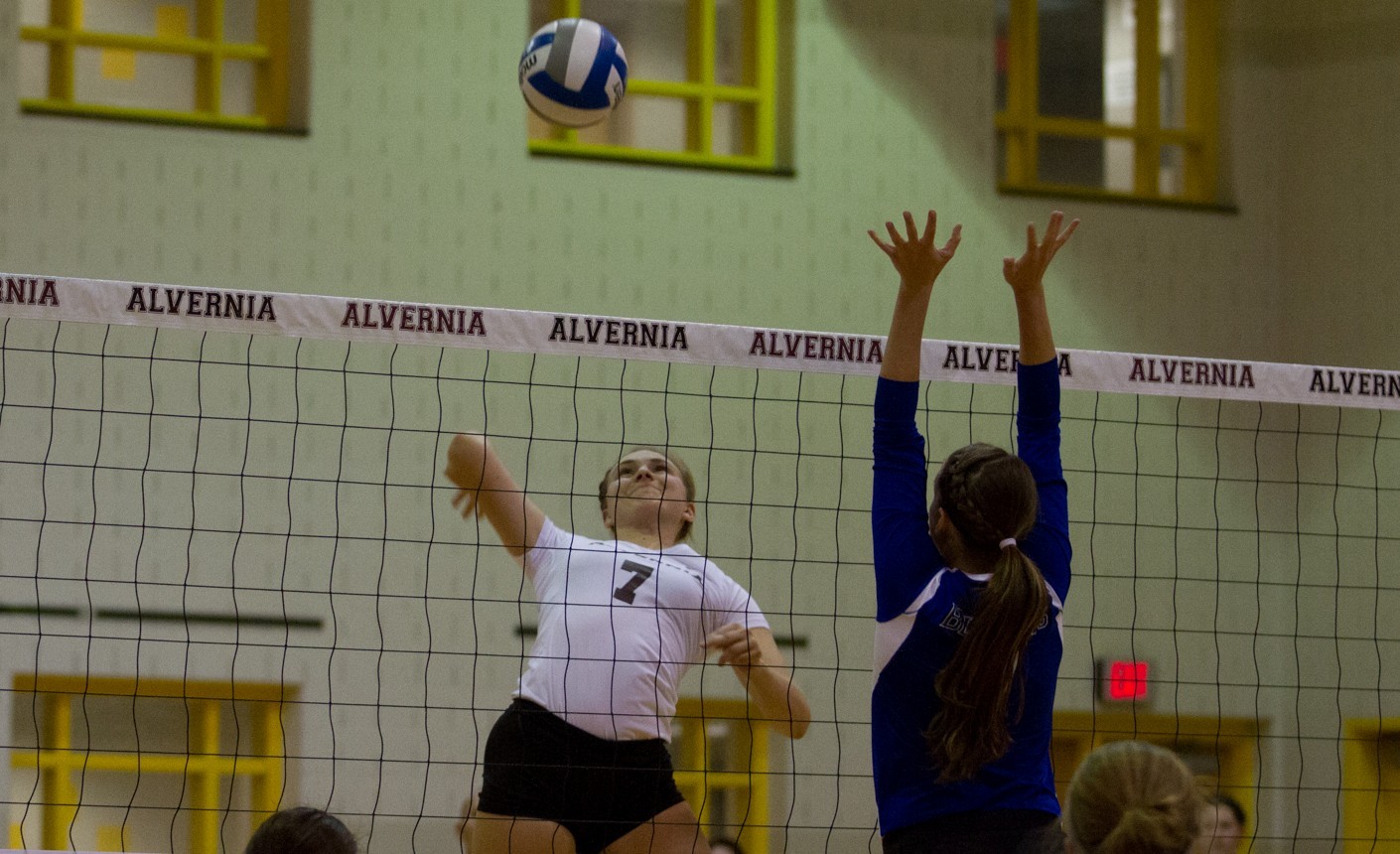 Liz Newman Women's Volleyball Alvernia University Athletics