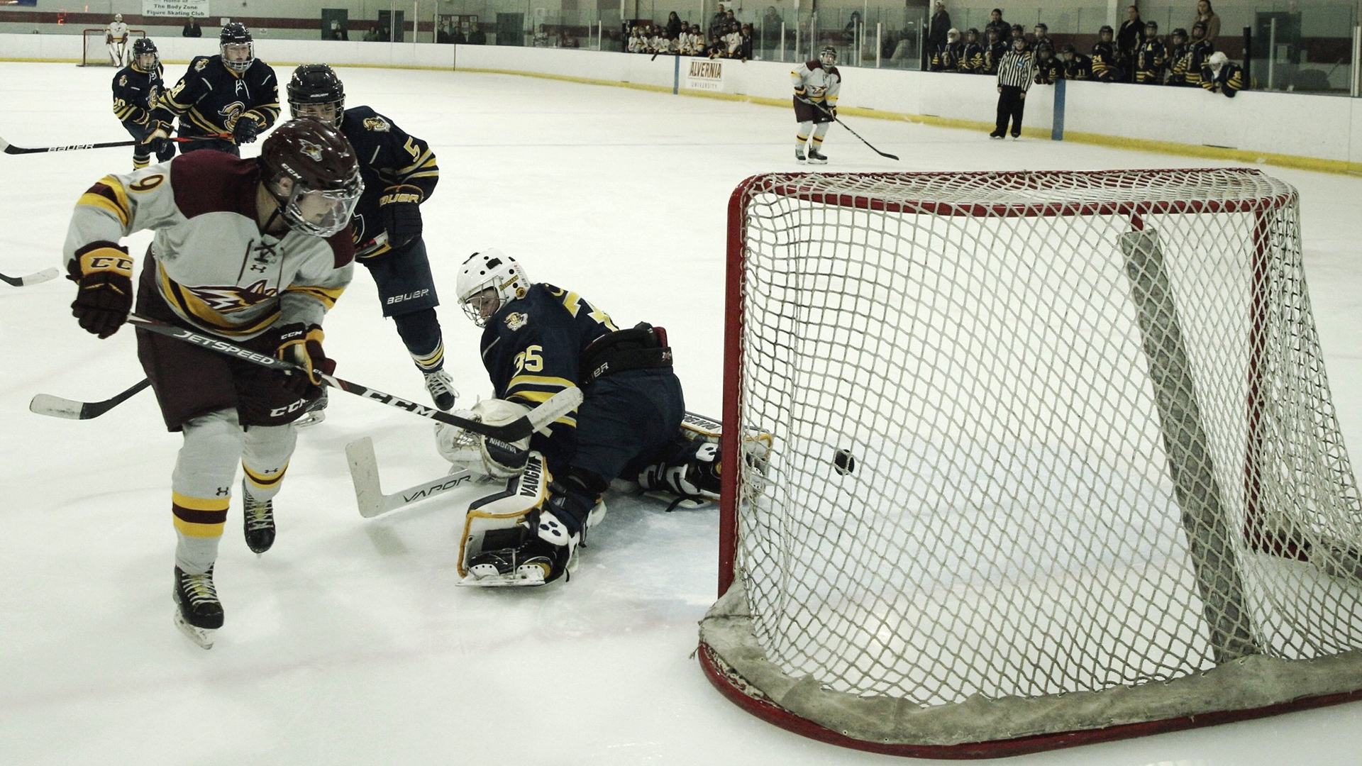 Amber Steinhilpert Women's Ice Hockey Alvernia University Athletics