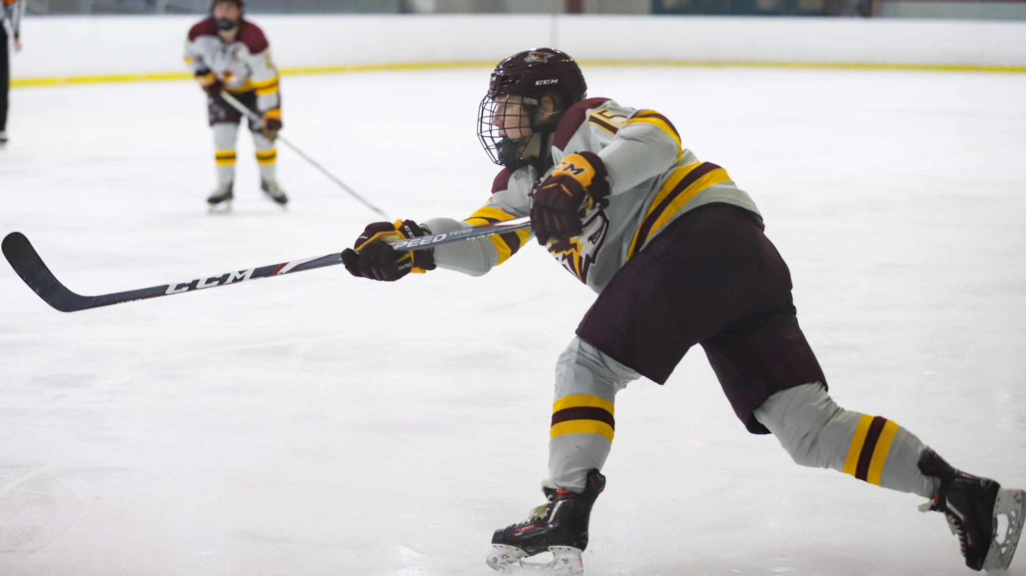 Abby Reisinger Women's Ice Hockey Alvernia University Athletics