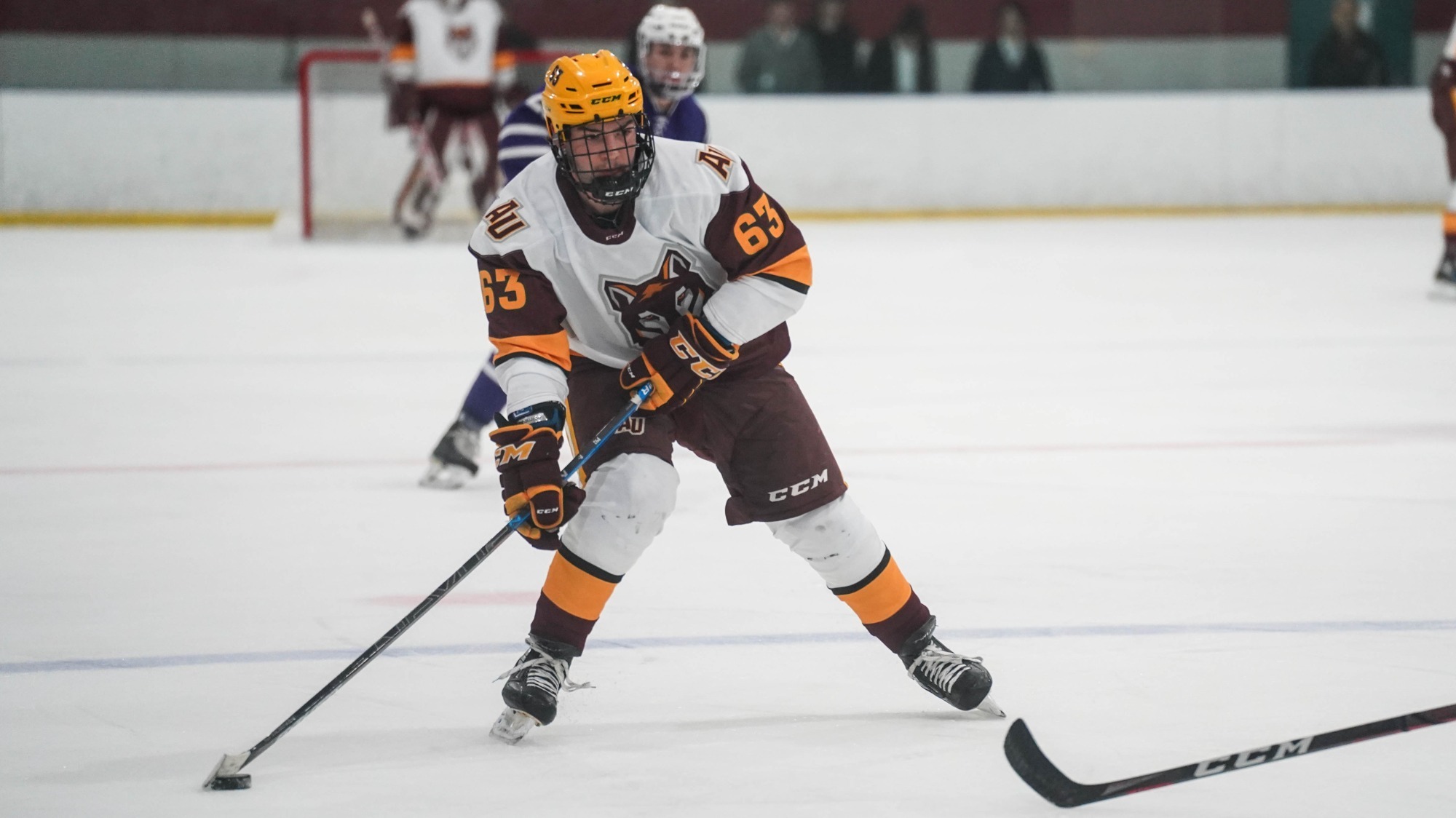 Sawyer Senio Men's Ice Hockey Alvernia University Athletics