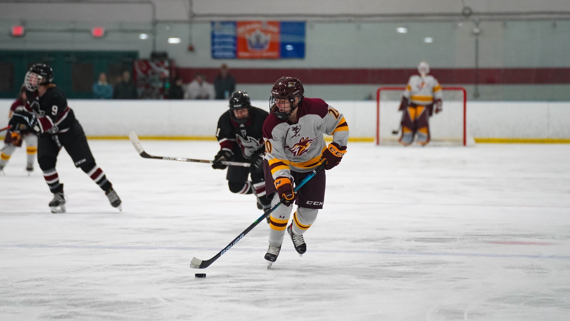 Gillian Evans Women's Ice Hockey Alvernia University Athletics
