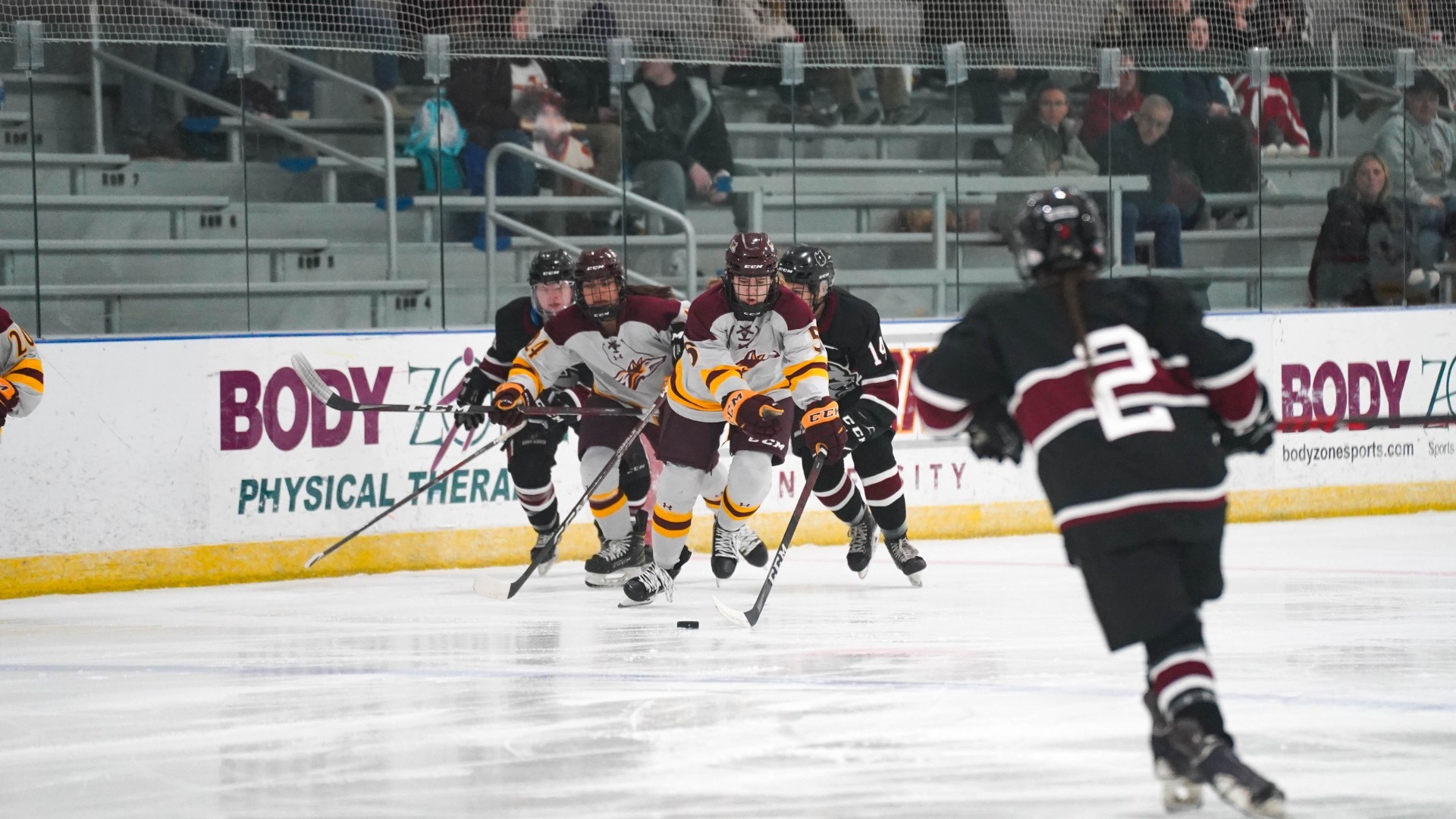 Kayla Moriarty Women's Ice Hockey Alvernia University Athletics