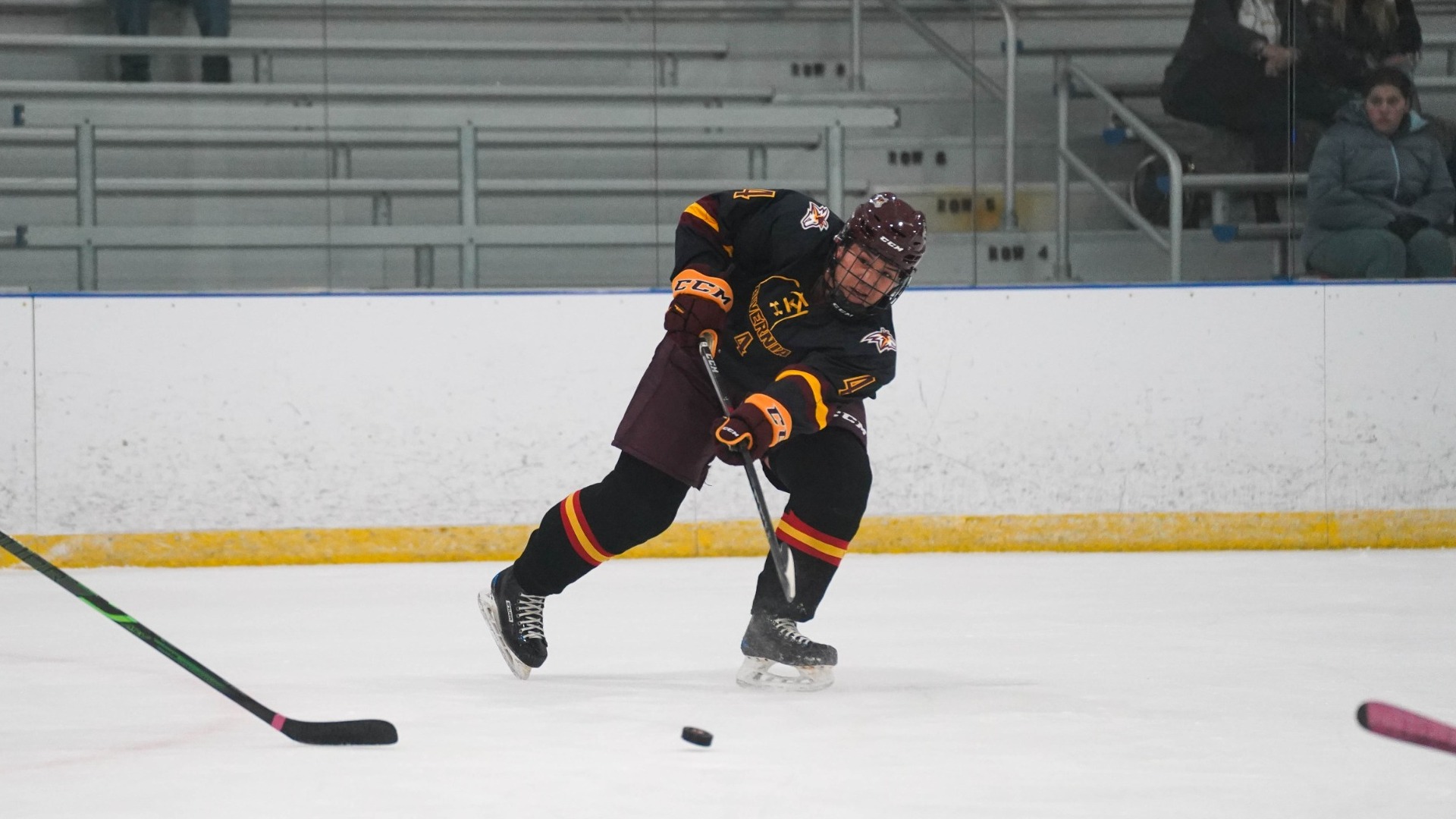 Laila Tosi Women's Ice Hockey Alvernia University Athletics