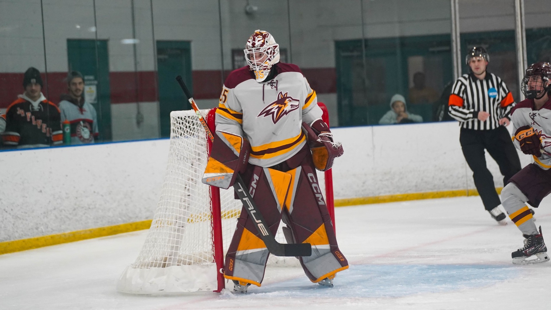Mandy Kaminsky Women's Ice Hockey Alvernia University Athletics