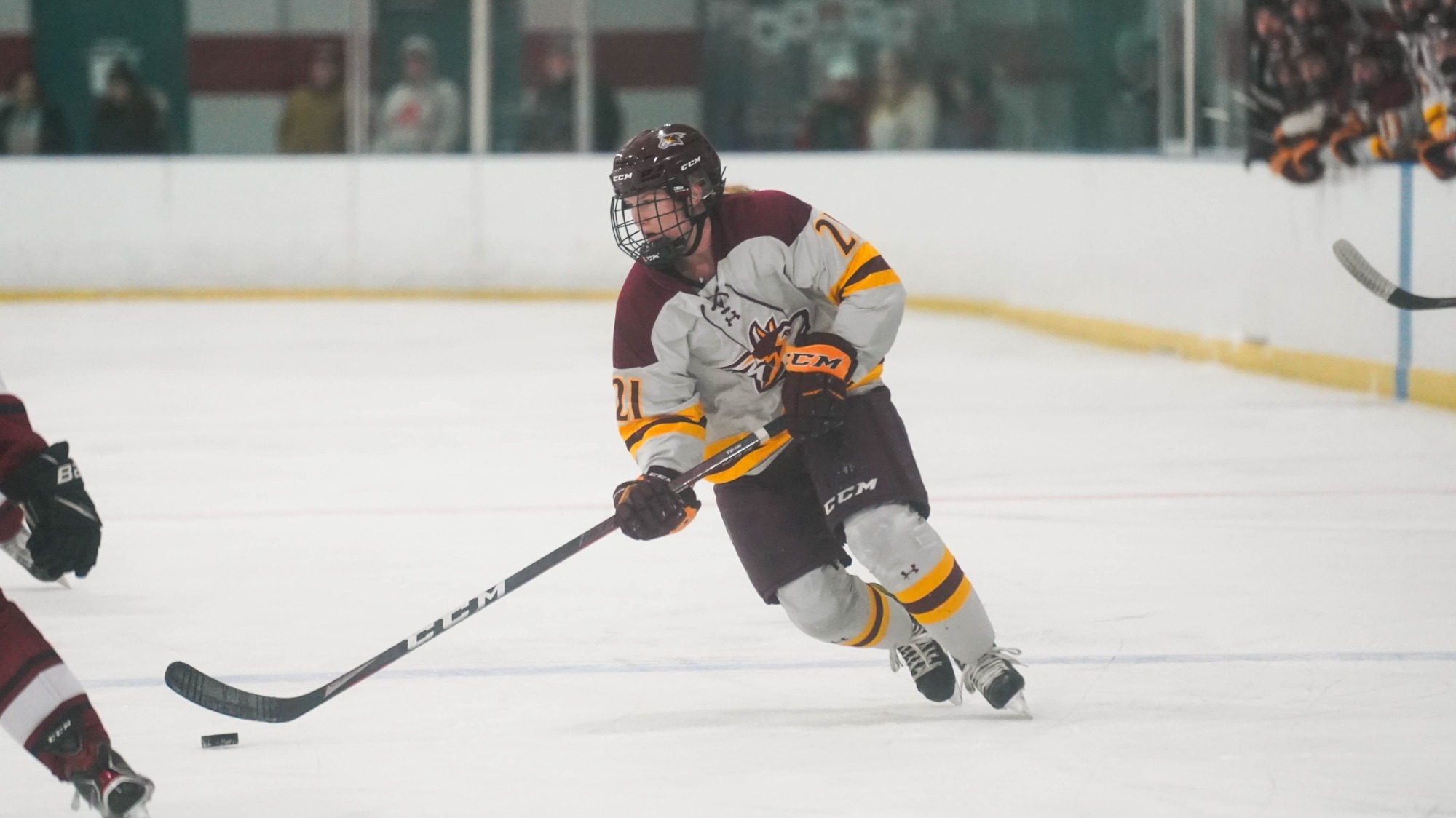 Kathryn Palmer Women's Ice Hockey Alvernia University Athletics
