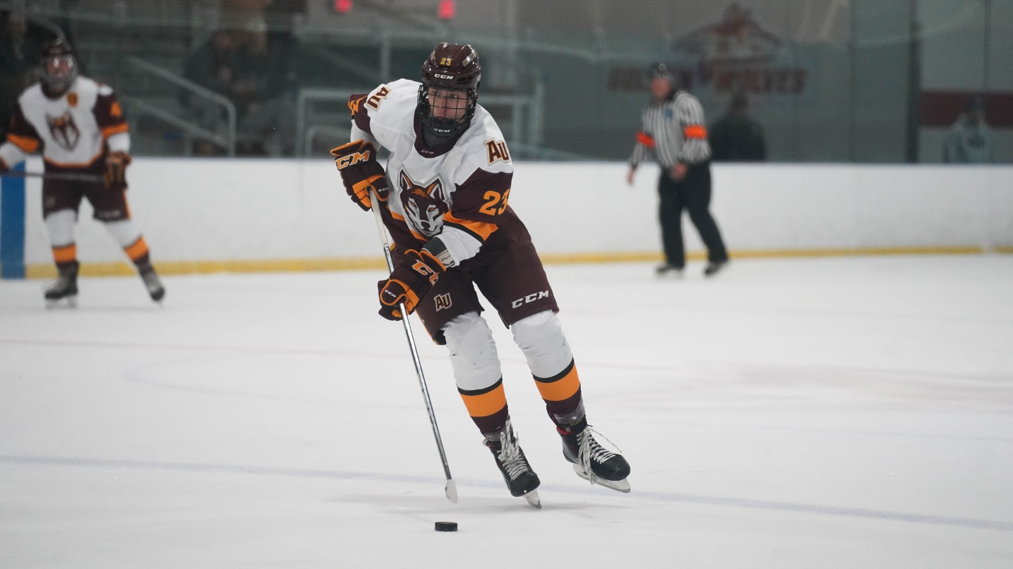 Eli Rivers Men's Ice Hockey Alvernia University Athletics