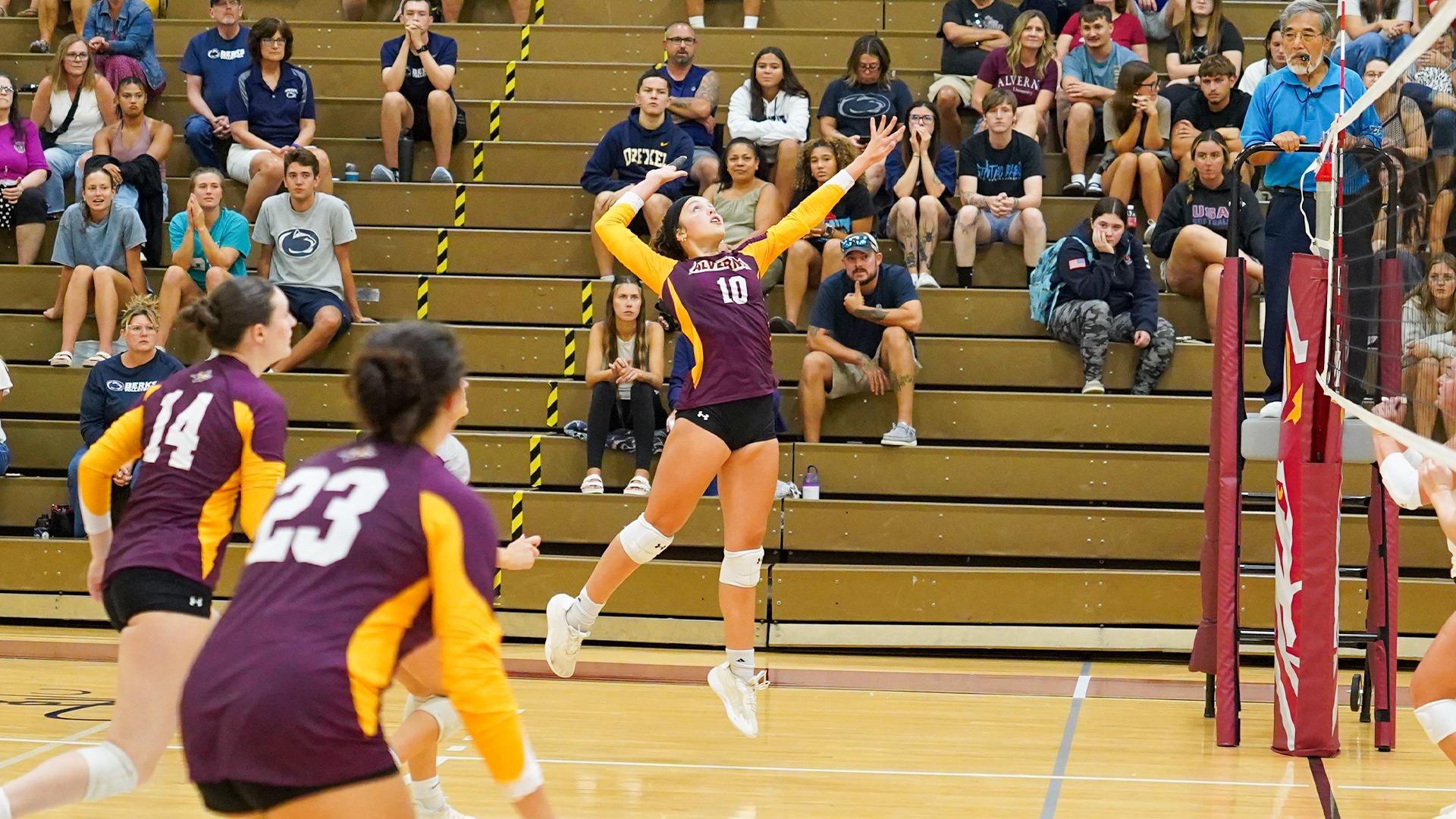 Allison Wolf gets a kill
