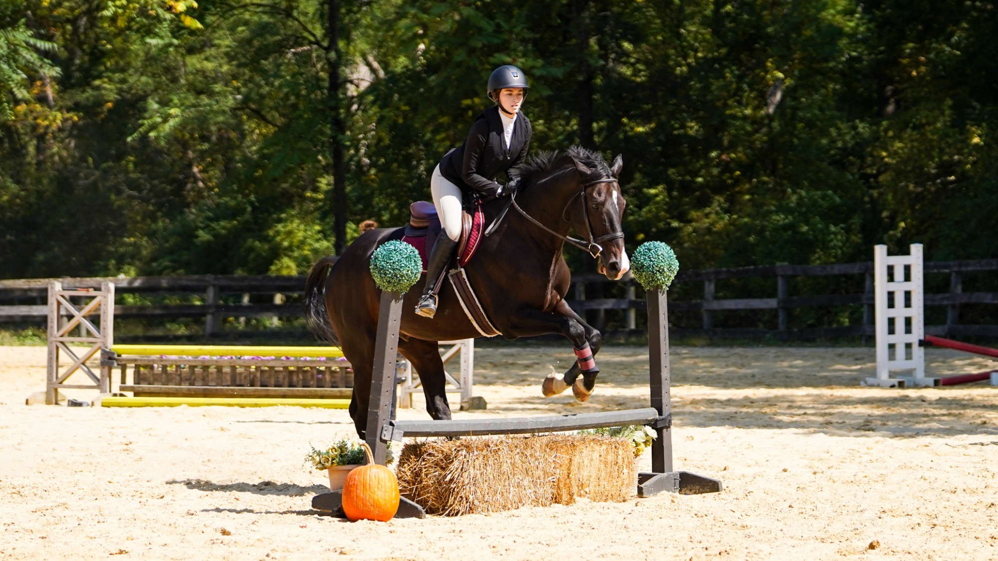 Emma Philiposian leads her horse over a jump at a Women's Equestrian practice.