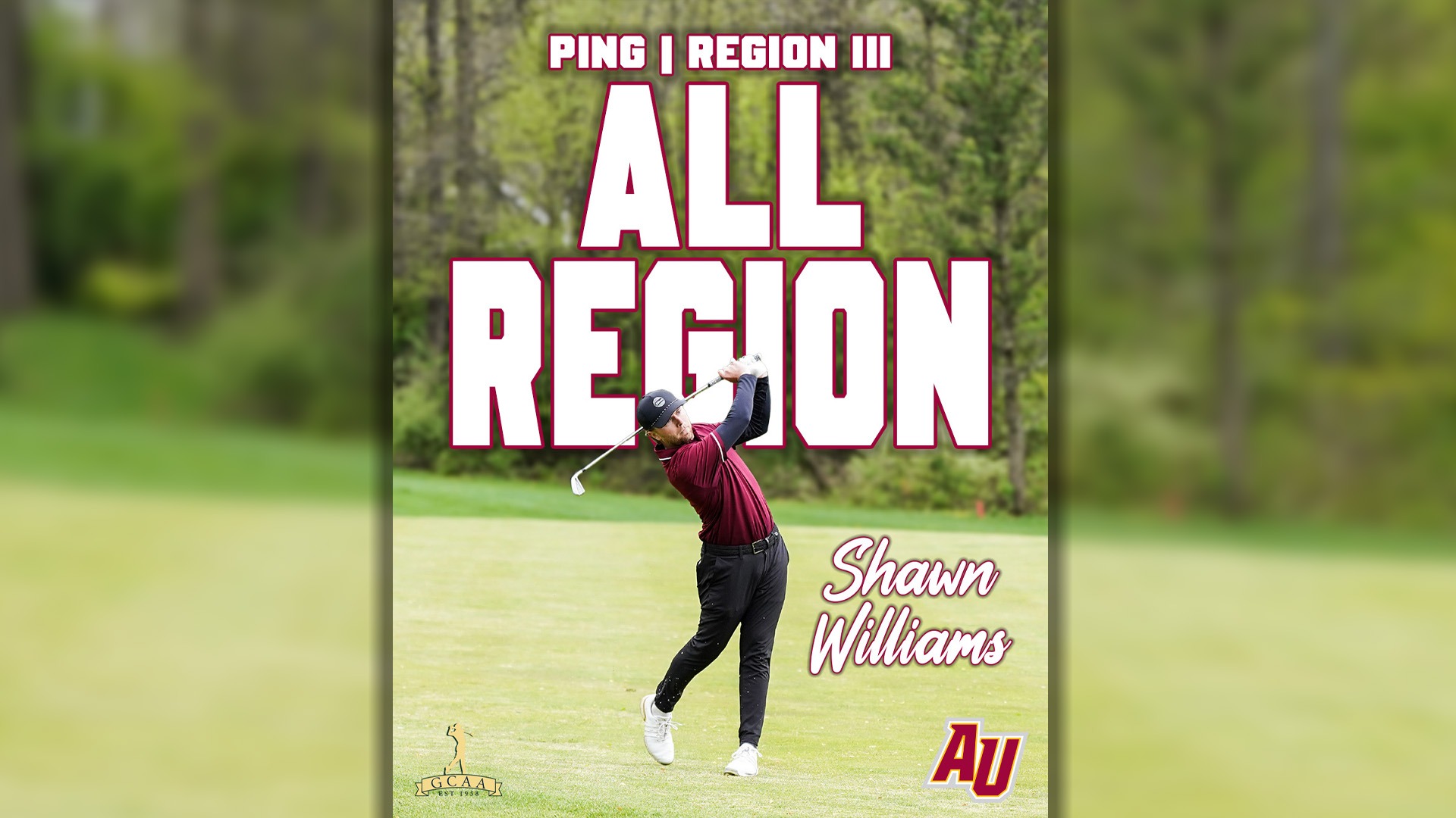 Shawn Williams All Region