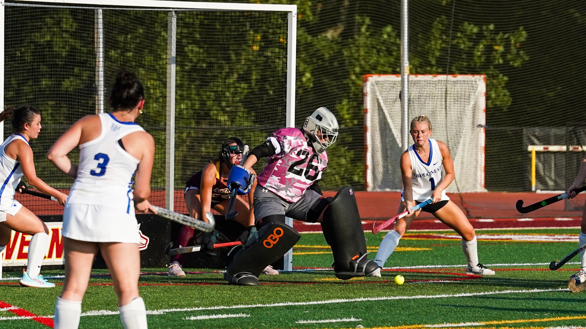Jazmin Mayfield makes a save against Franklin and Marshall