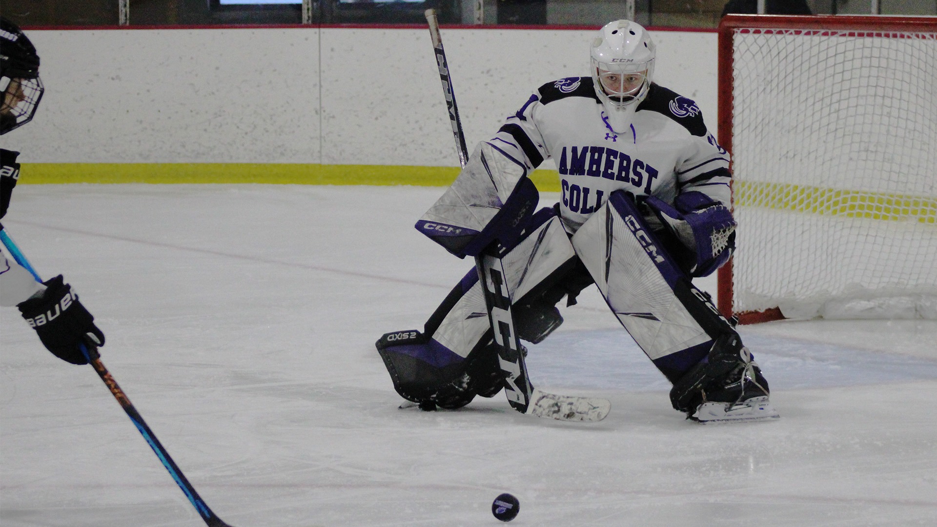 Maleigh Tittel 202324 Women's Ice Hockey Amherst College