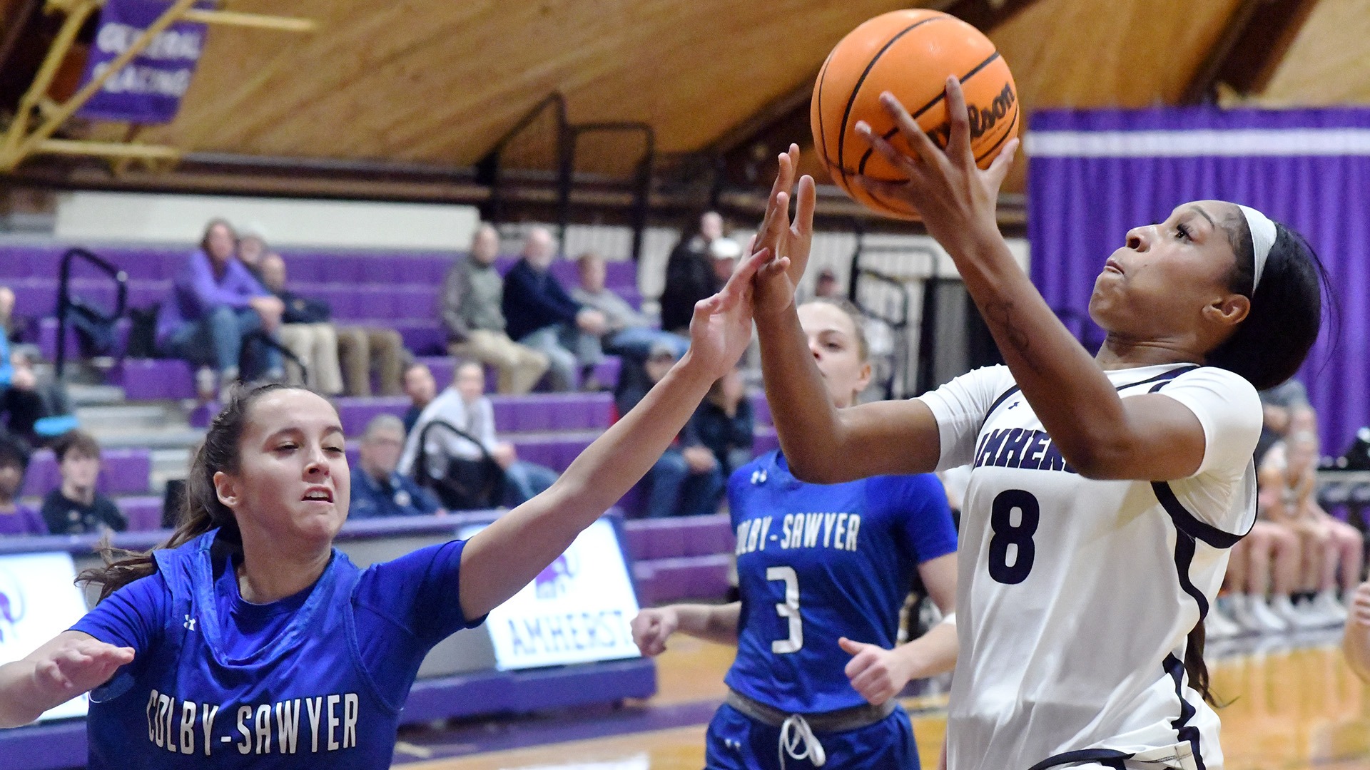 WBB Colby Sawyer 121025