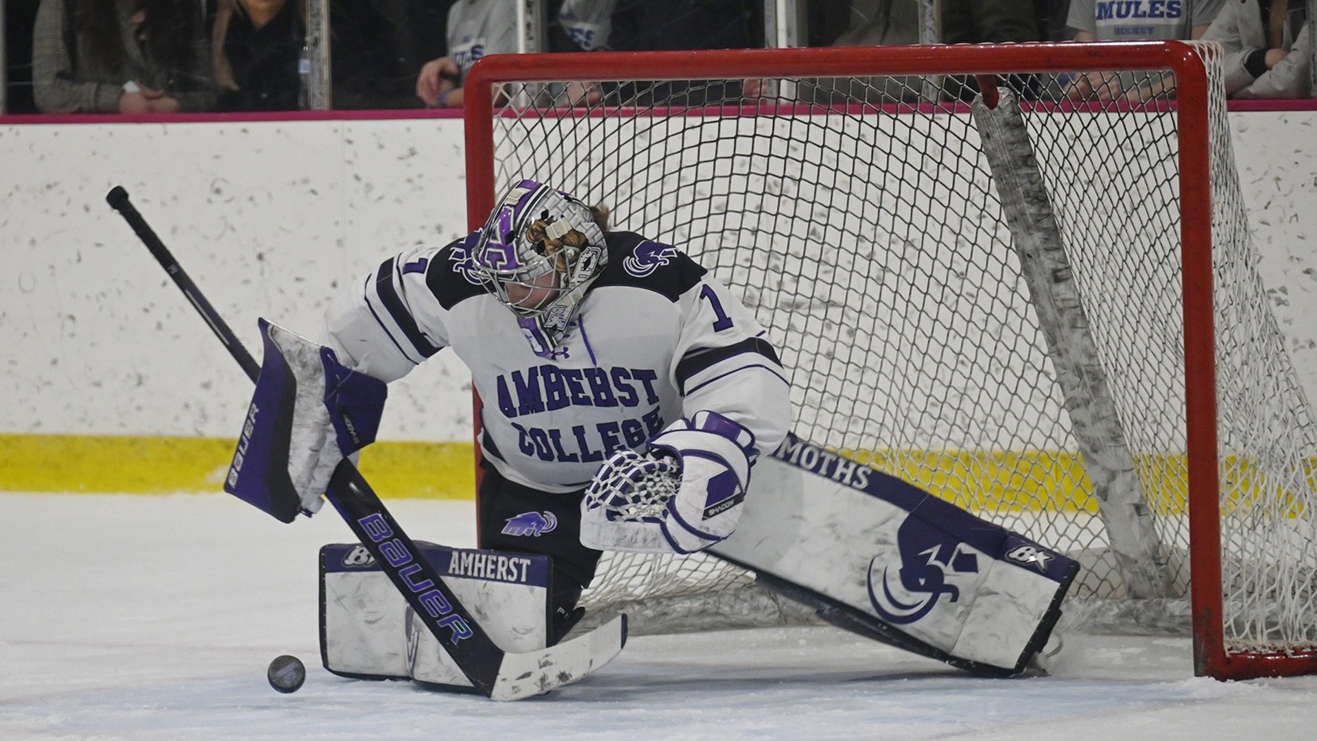 WICE Stott Hamilton 3825