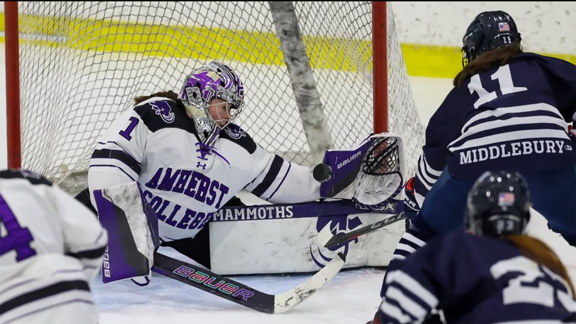 WICE Stott Midd 3925