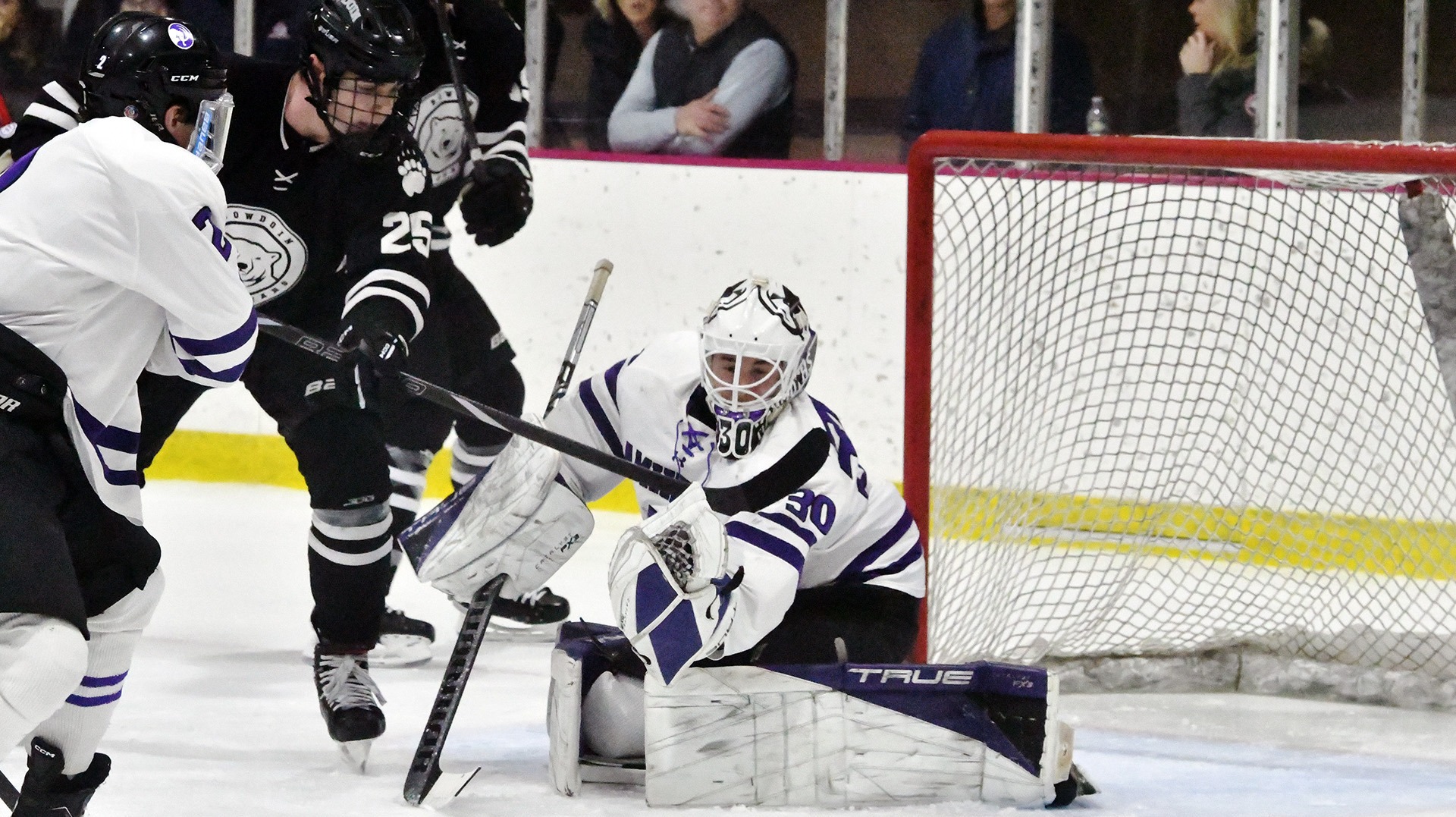 MICE Bowdoin Polena 11026