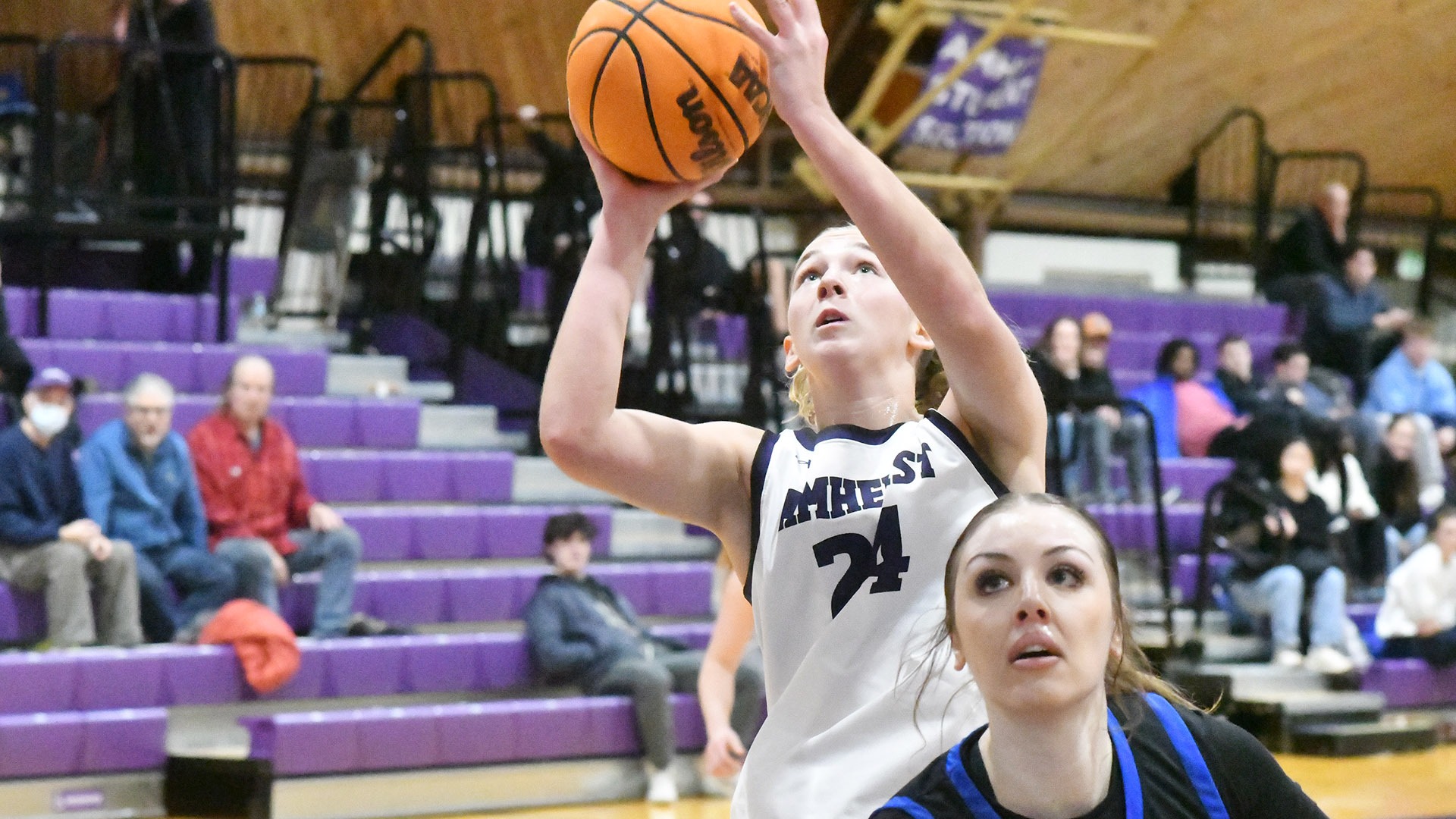 WBB Renwick Albertus