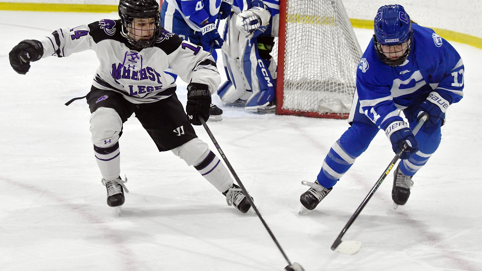 WICE Colby Puck Chase 2626