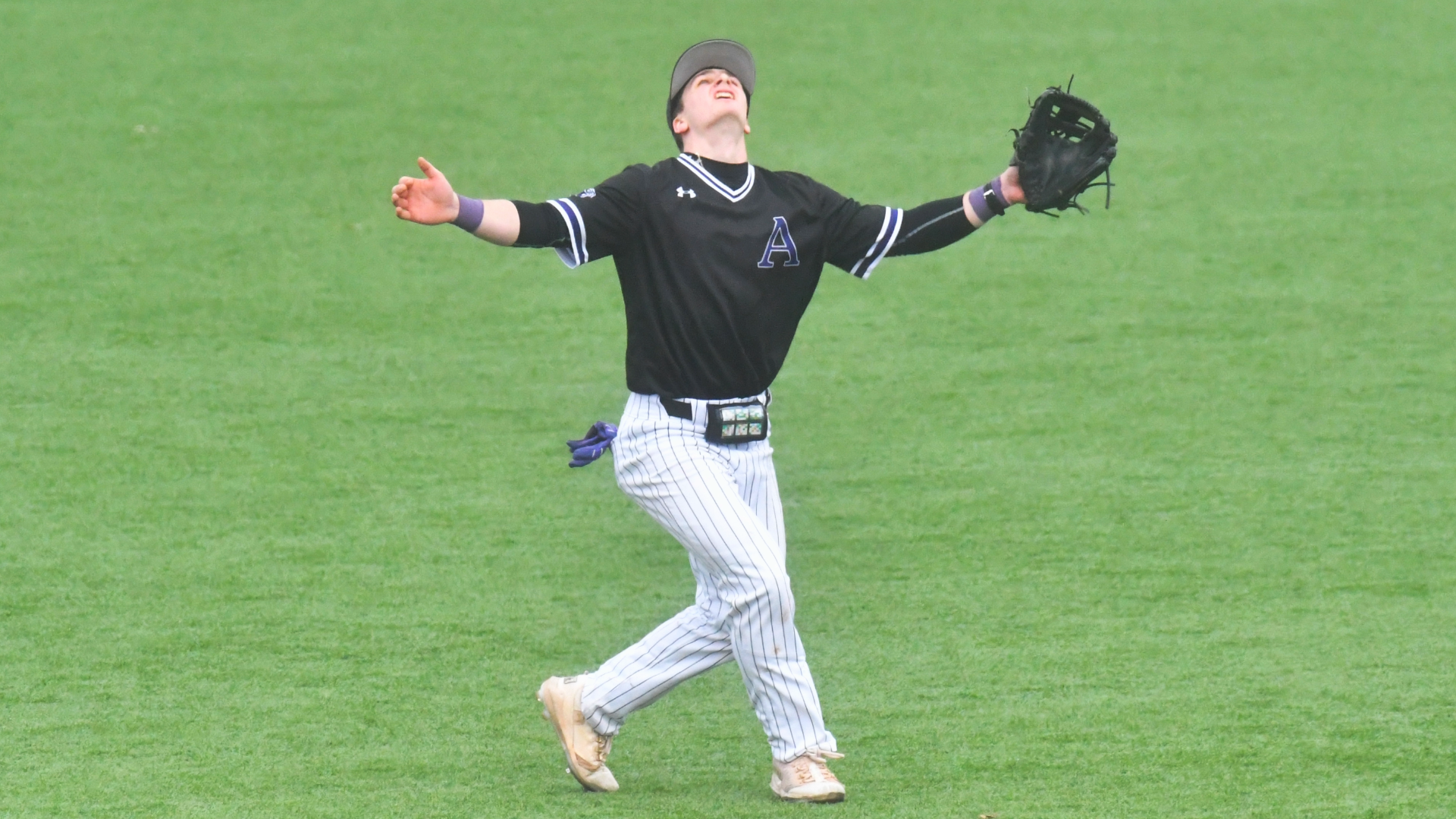 Dubetsky Ramapo 3836