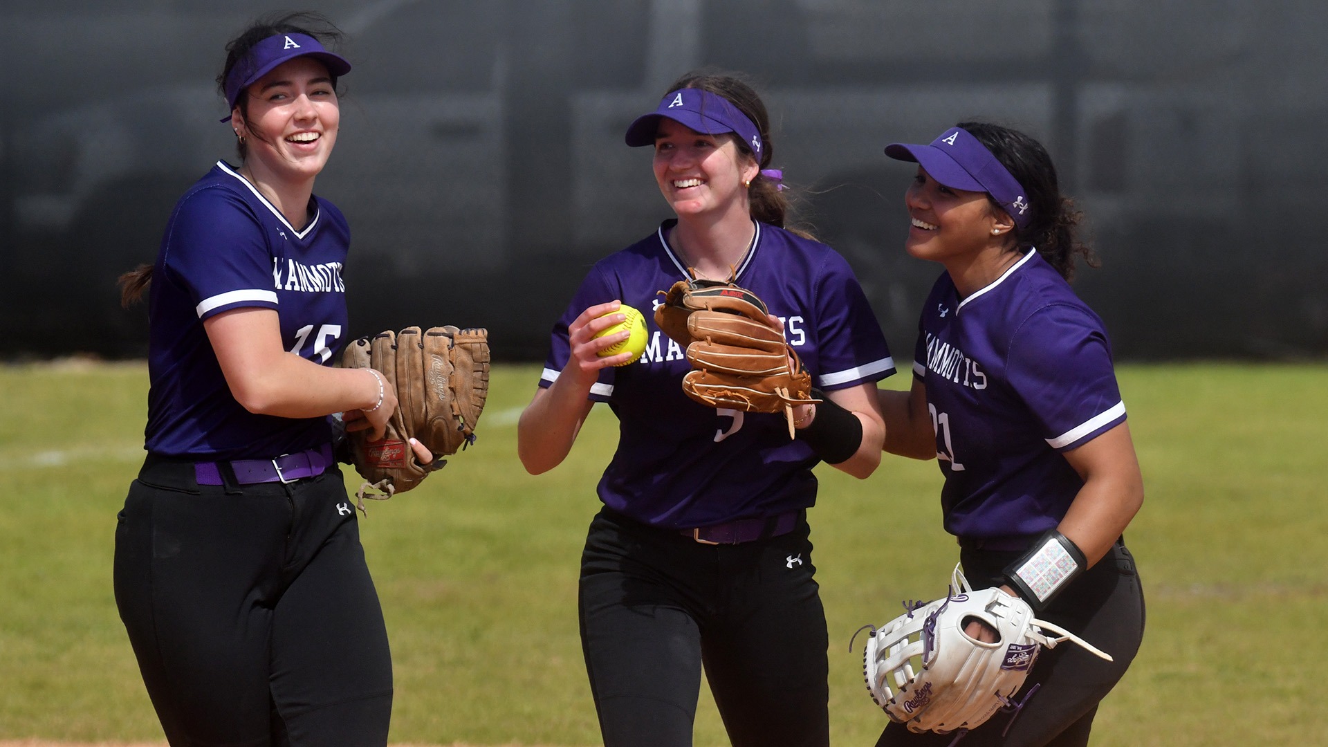 SB Westminster Celly 31926