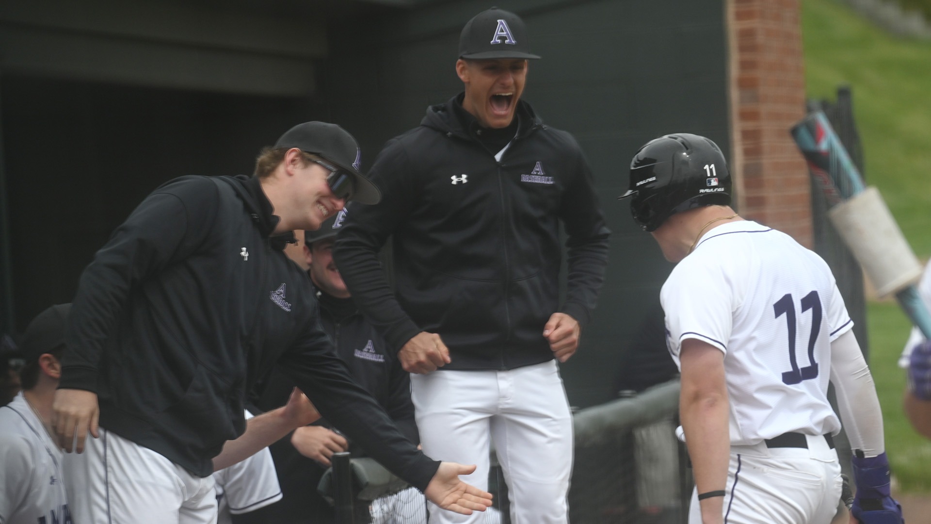 BASE HAM 42526 CELEBRATION