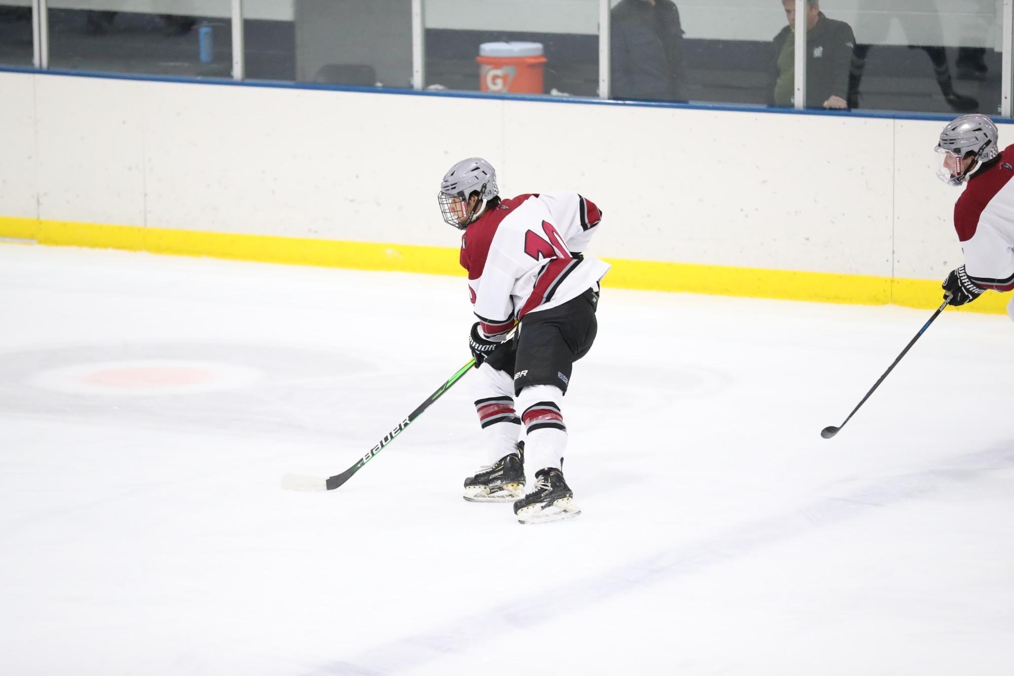 Aaron Hamel Men's Ice Hockey Arcadia University Athletics