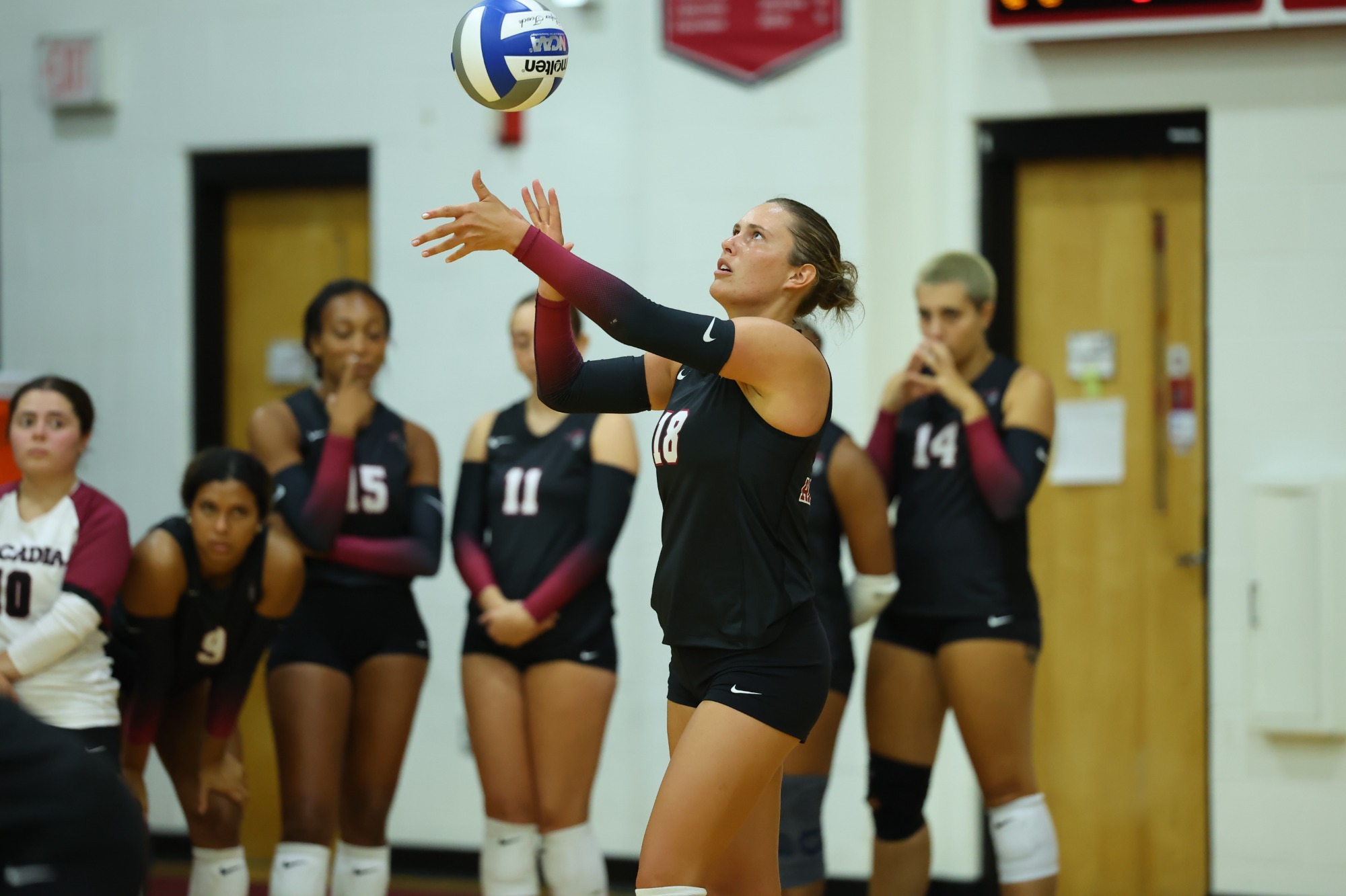 WVB Delval